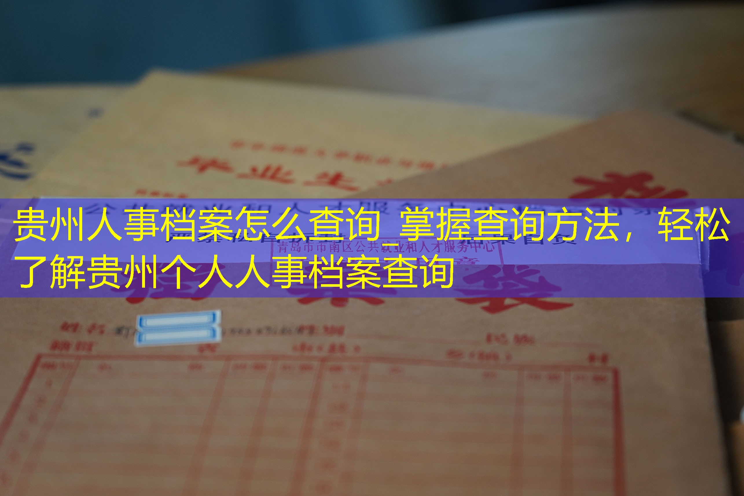 档案查询