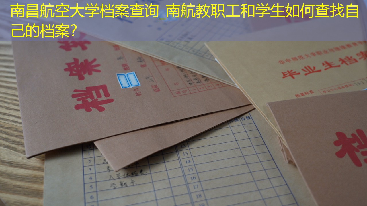 档案查询