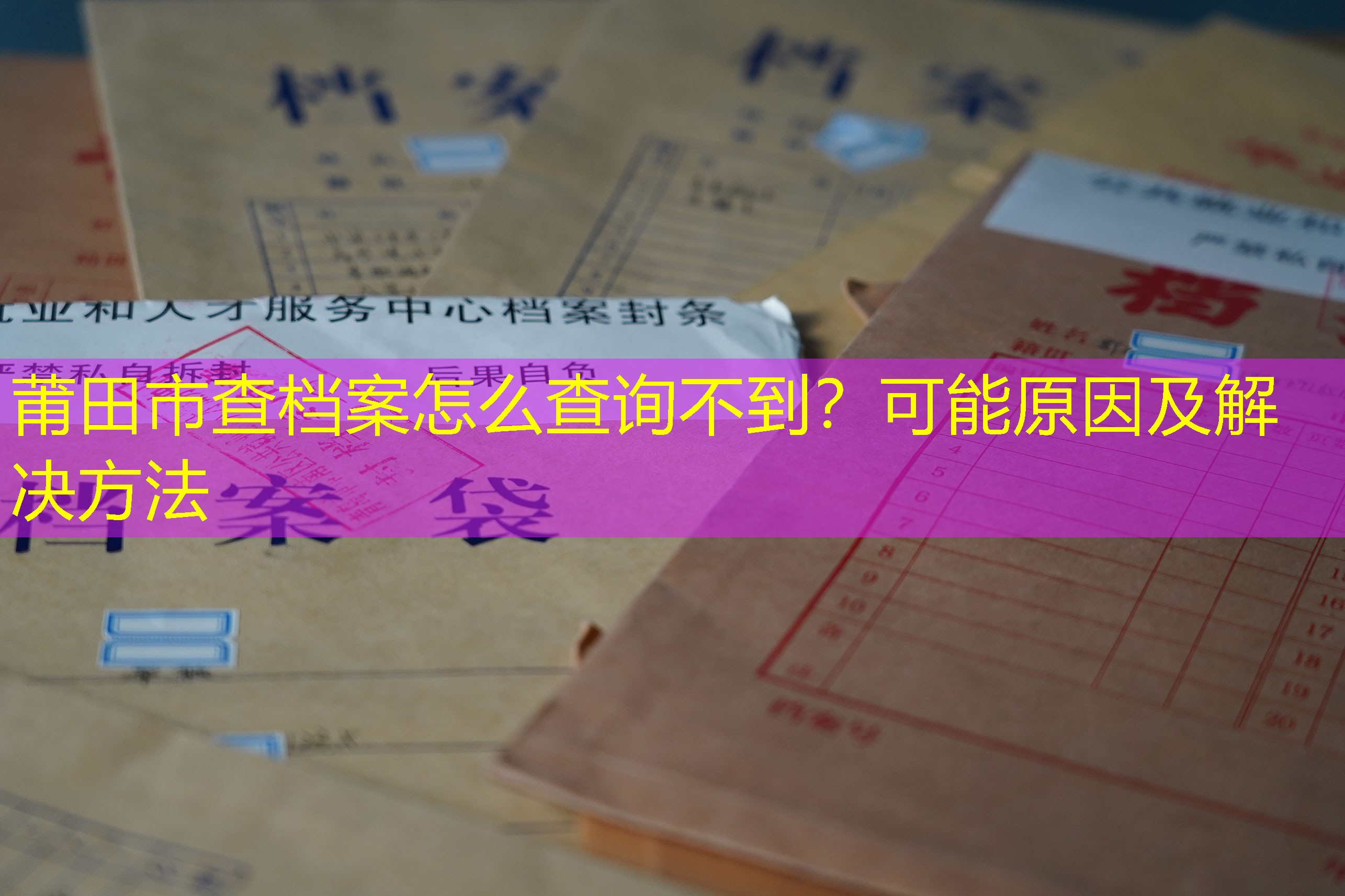 档案查询