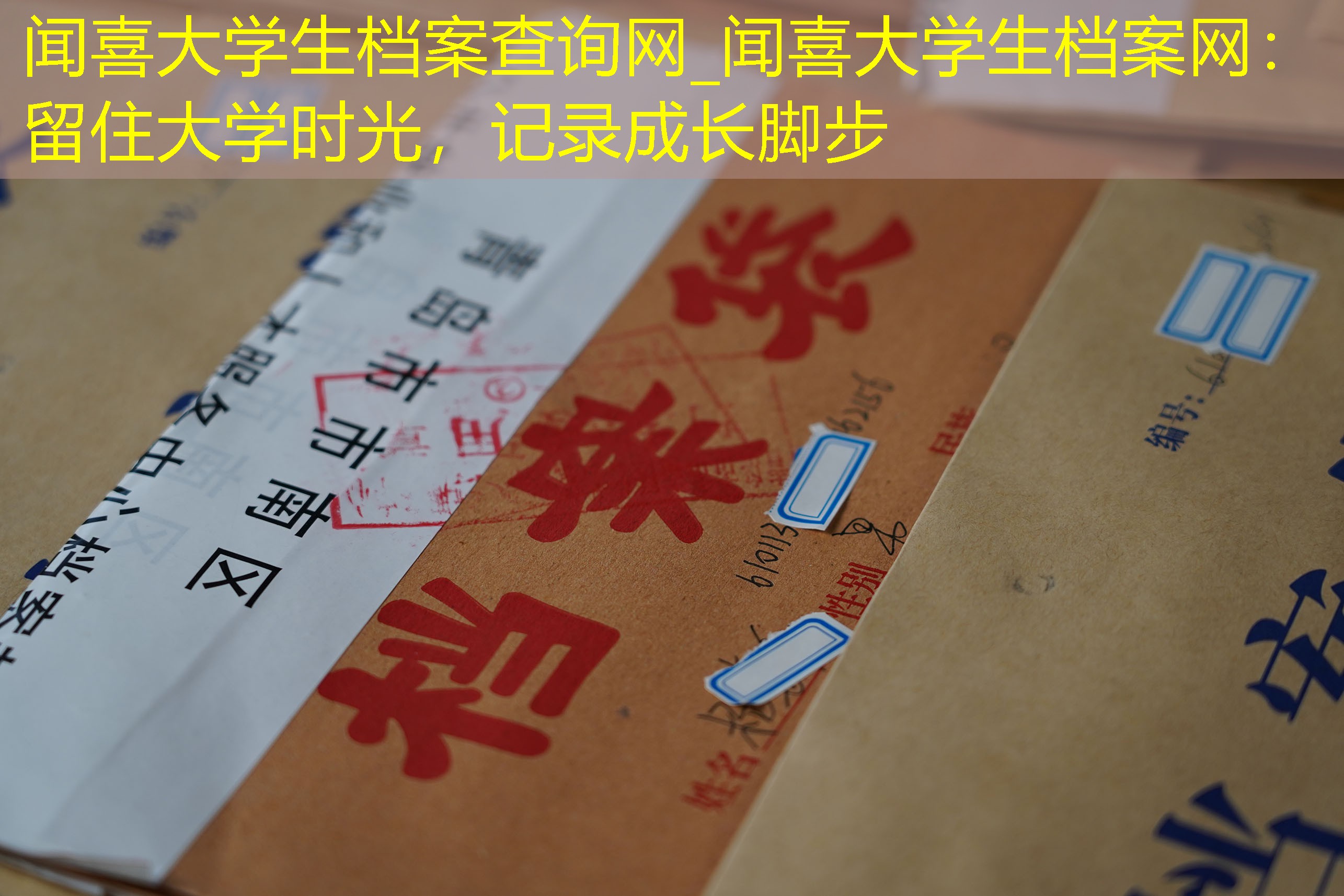 档案查询