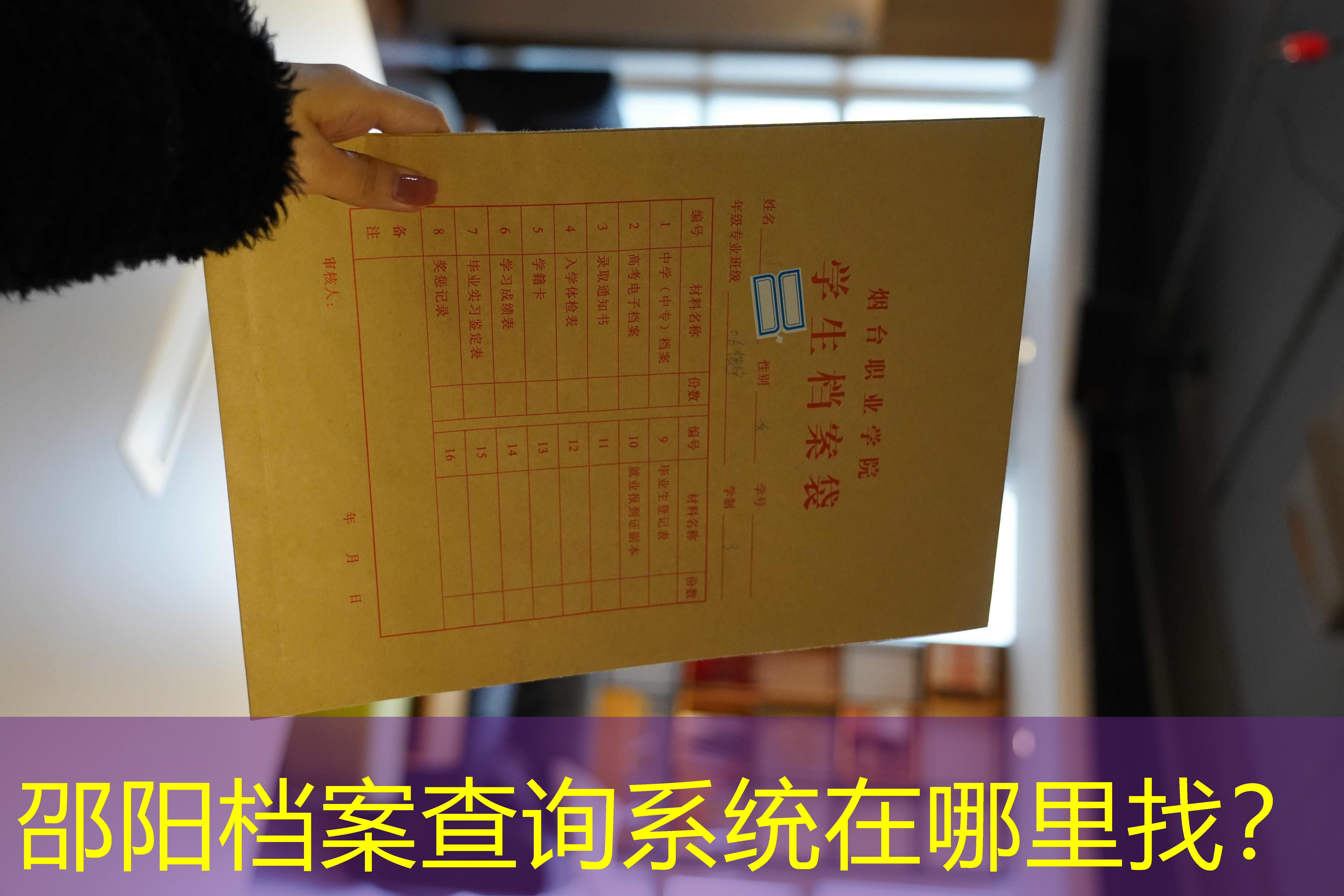 档案查询
