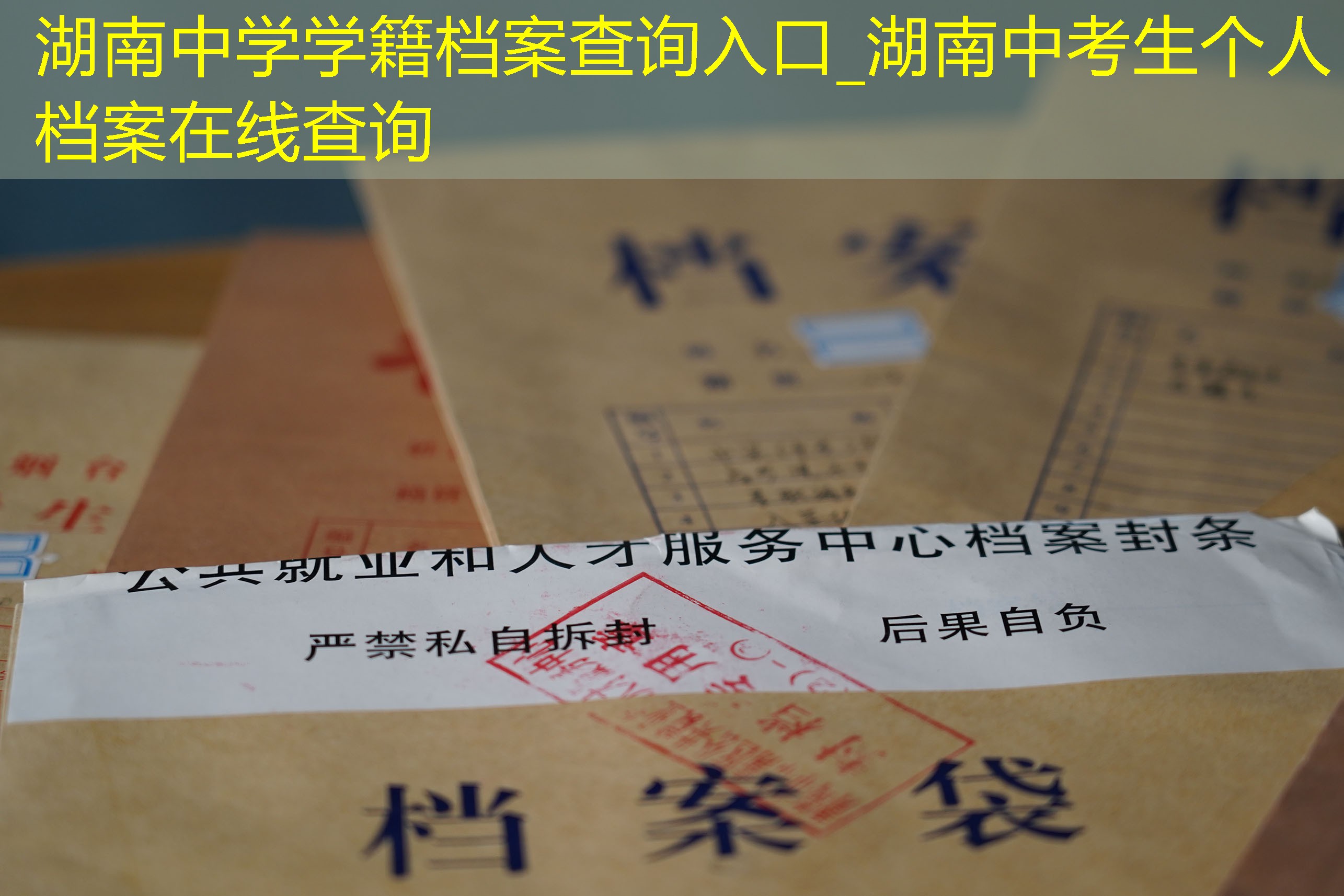 档案查询