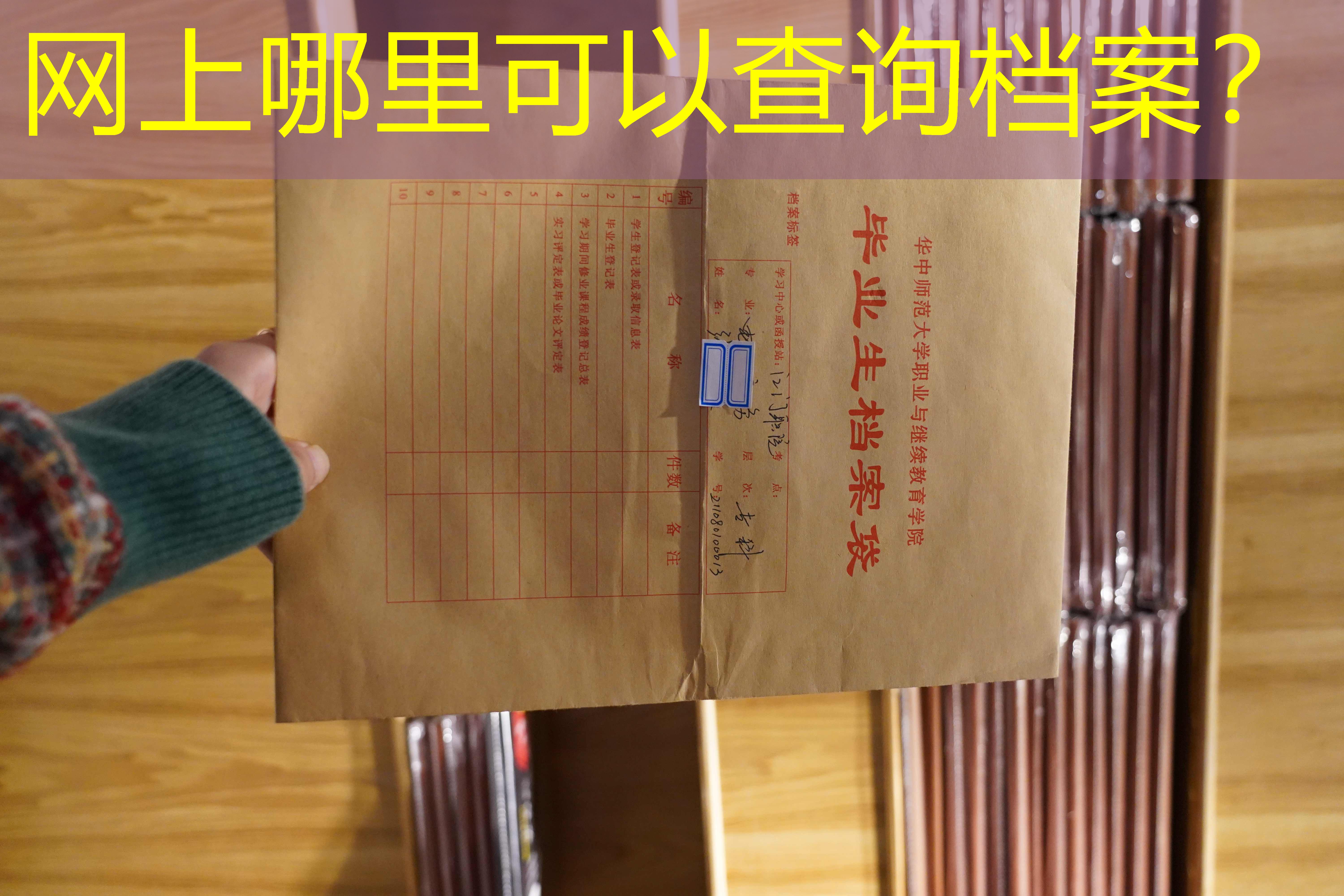 档案查询