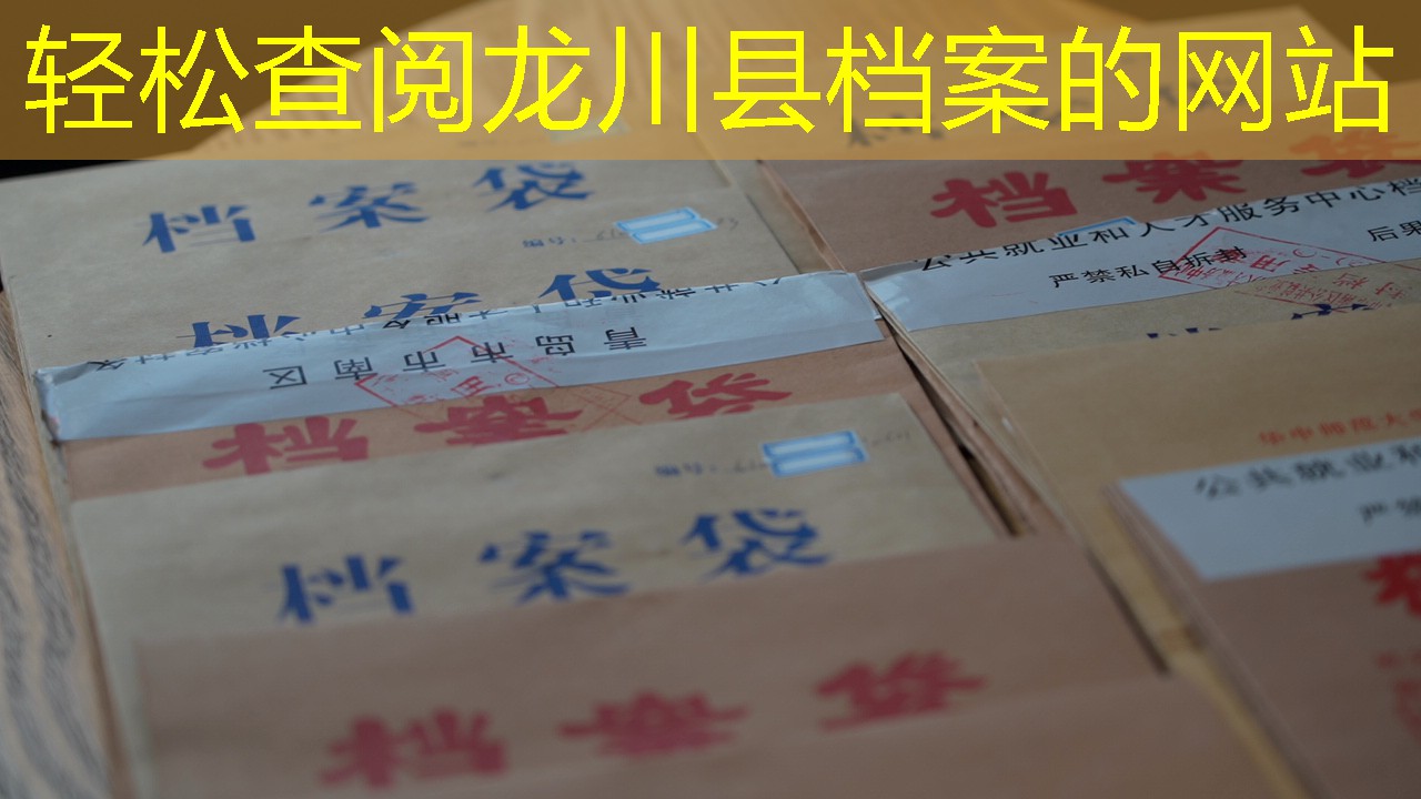 档案查询