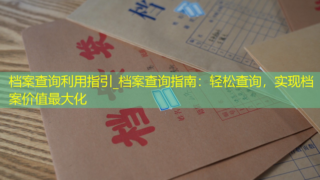 档案查询