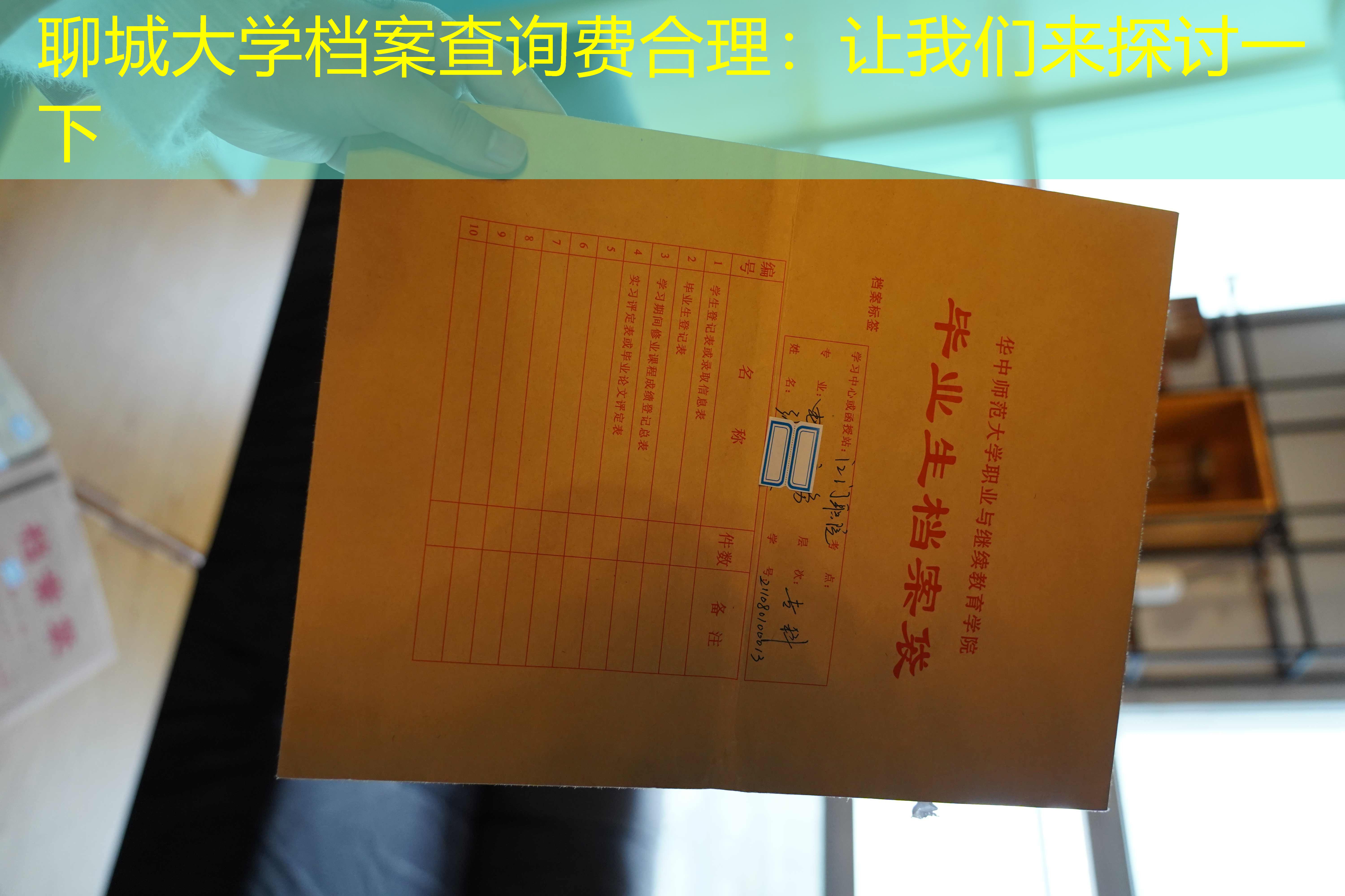 档案查询