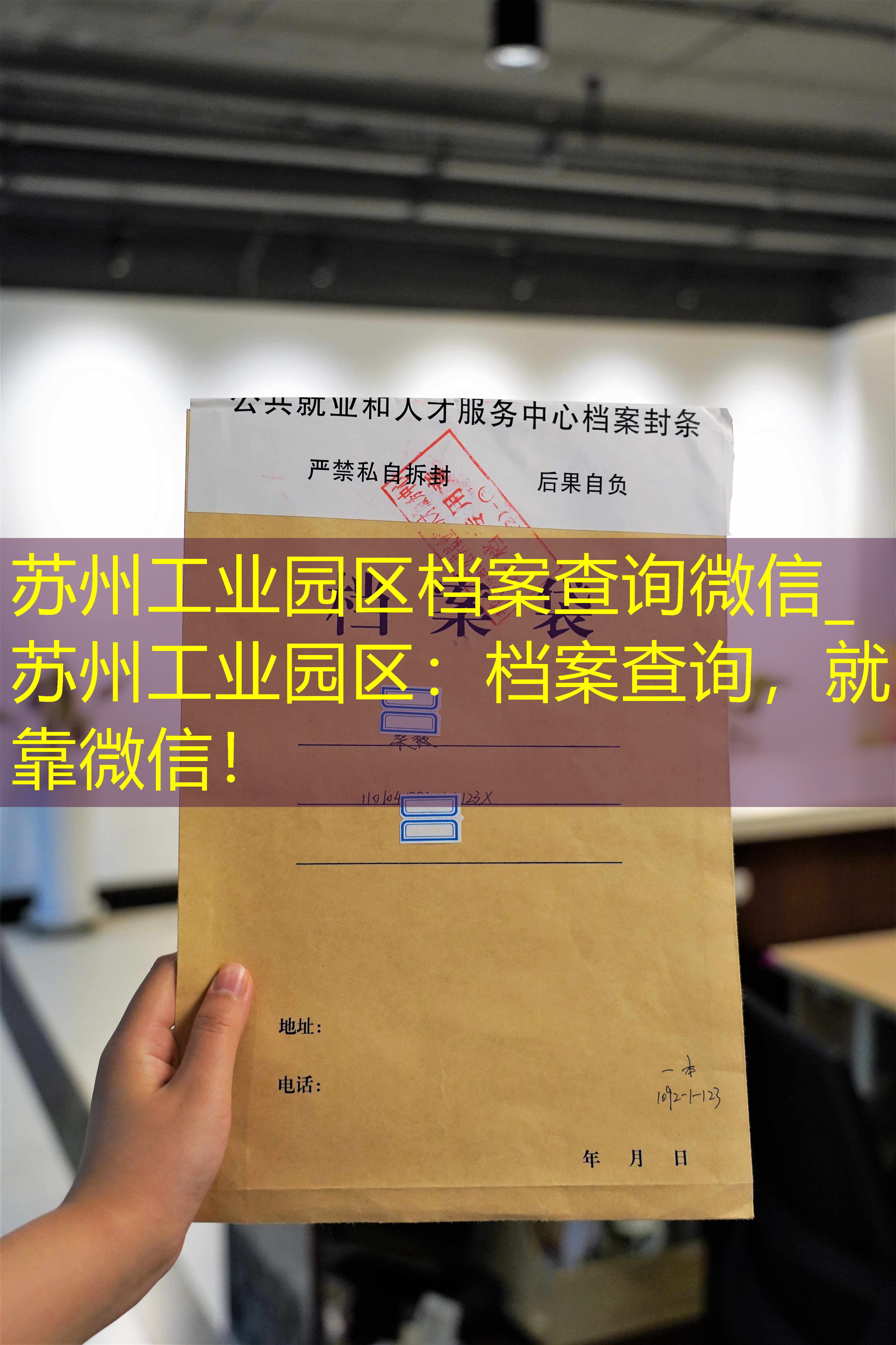 档案查询