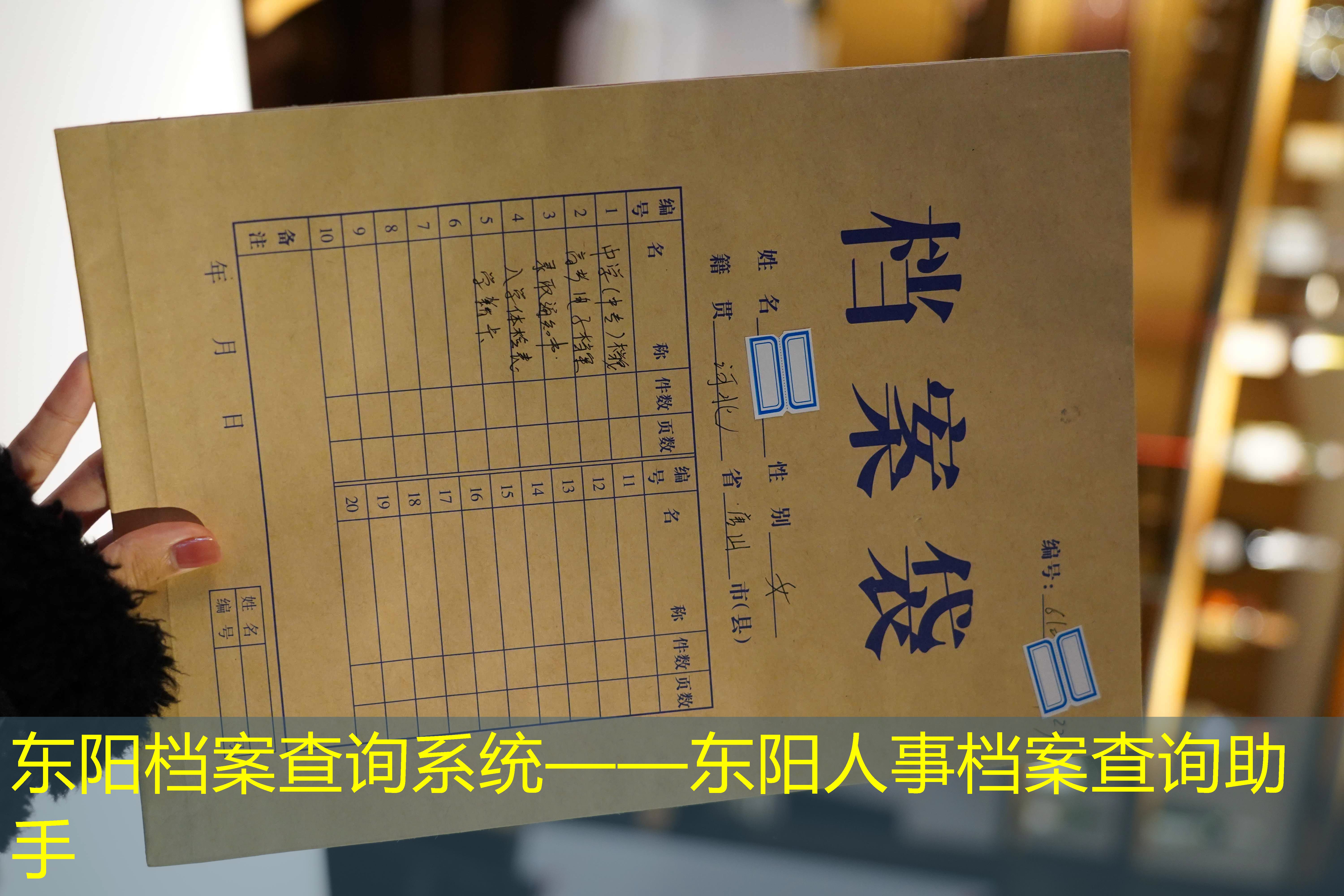档案查询