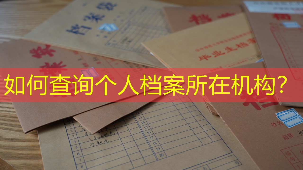 档案查询