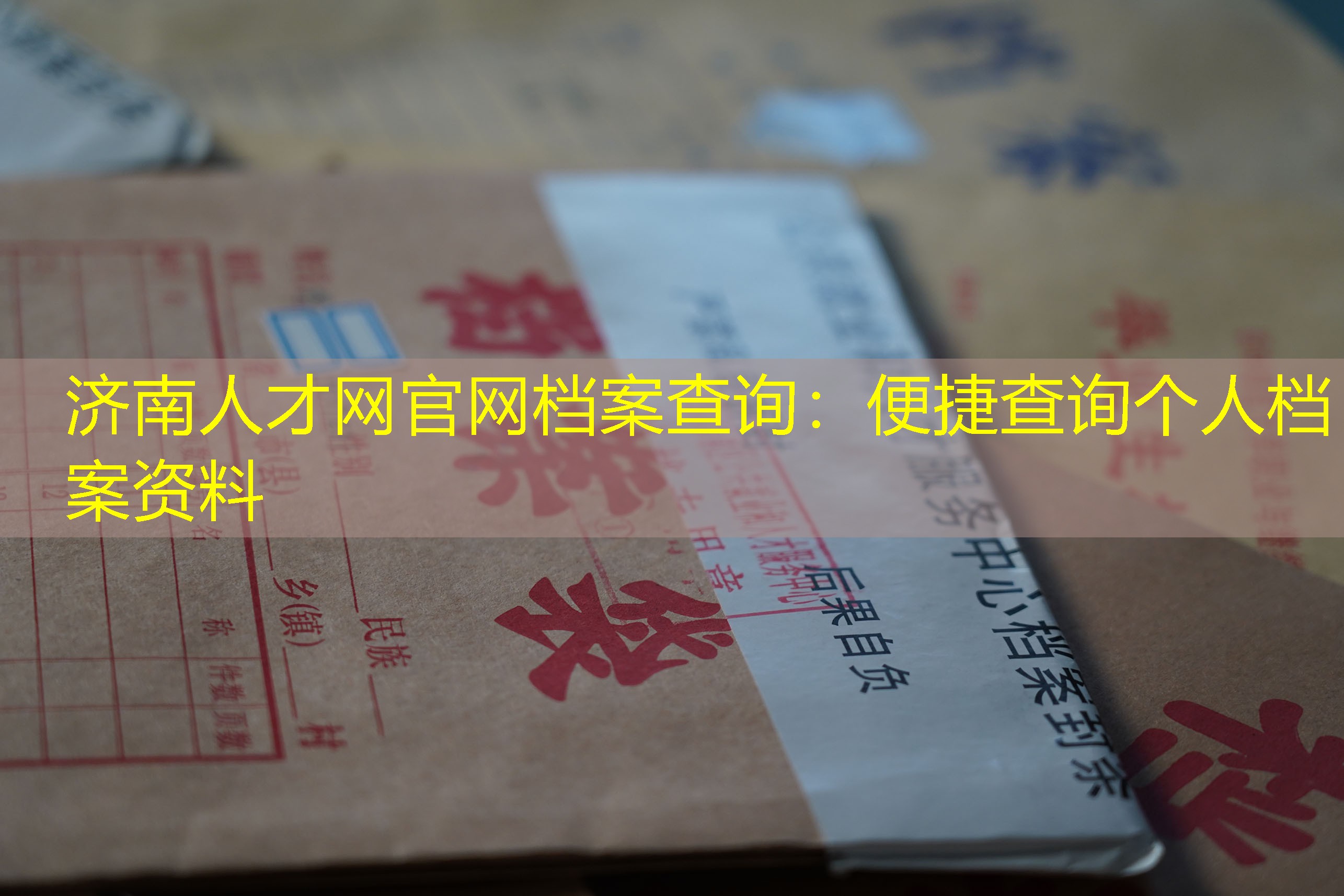 档案查询