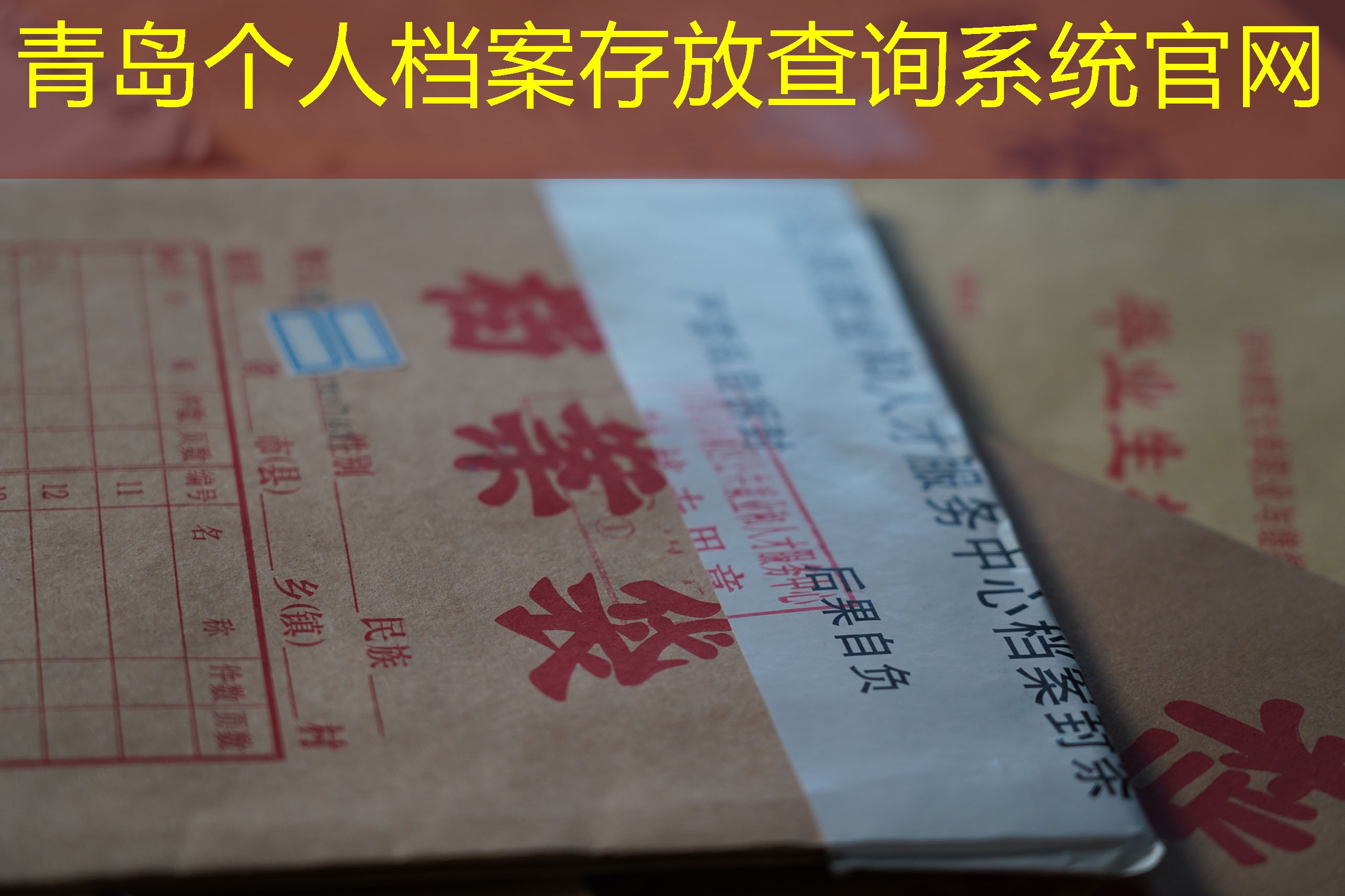 档案查询