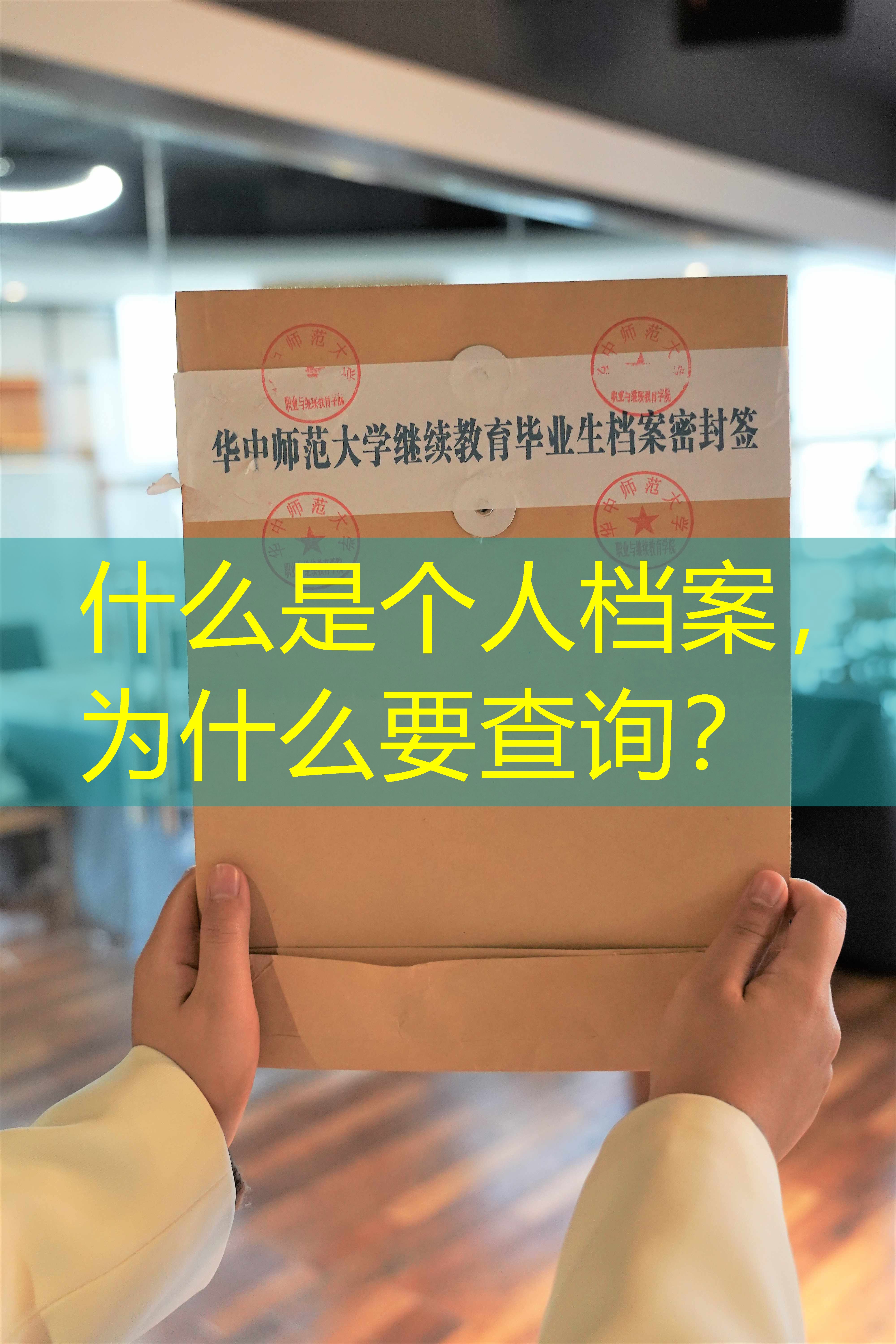 档案查询