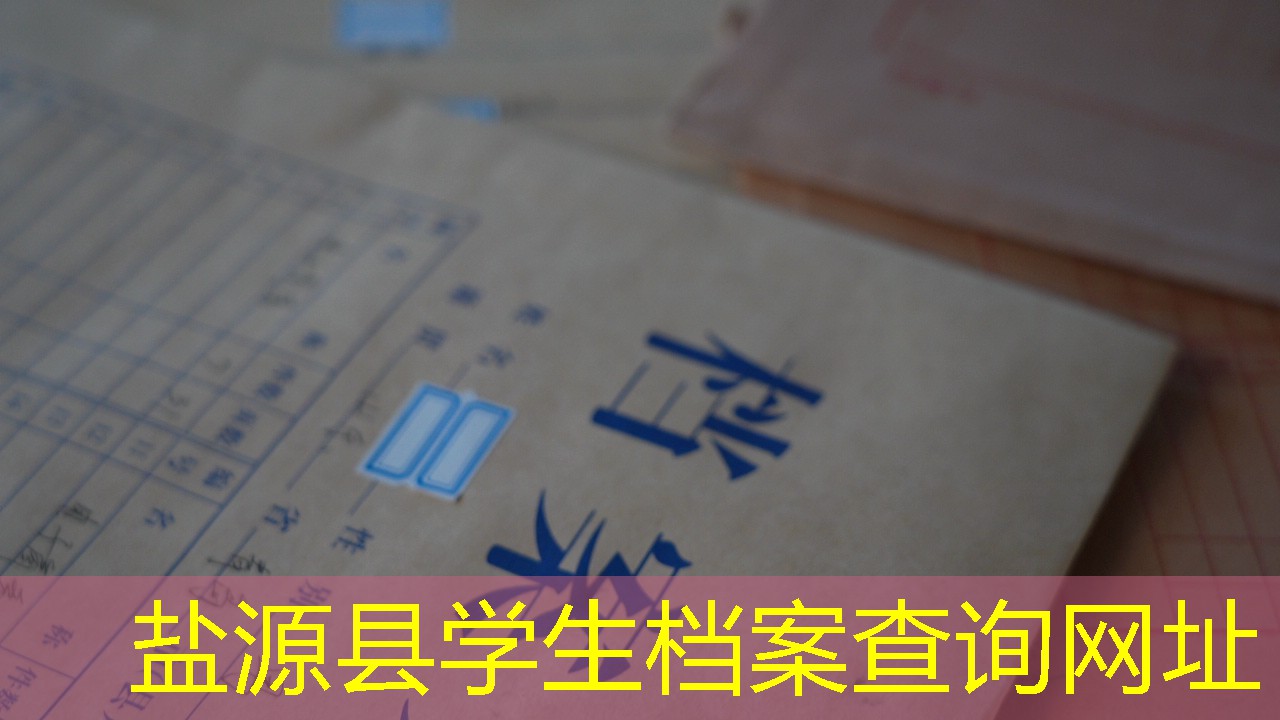 档案查询