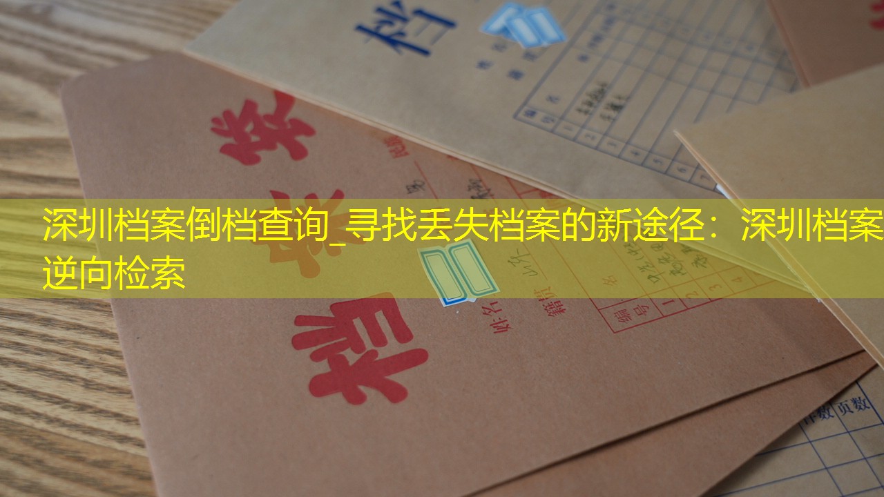 档案查询
