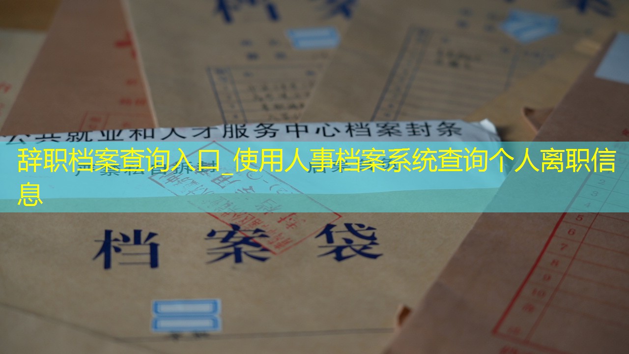 档案查询