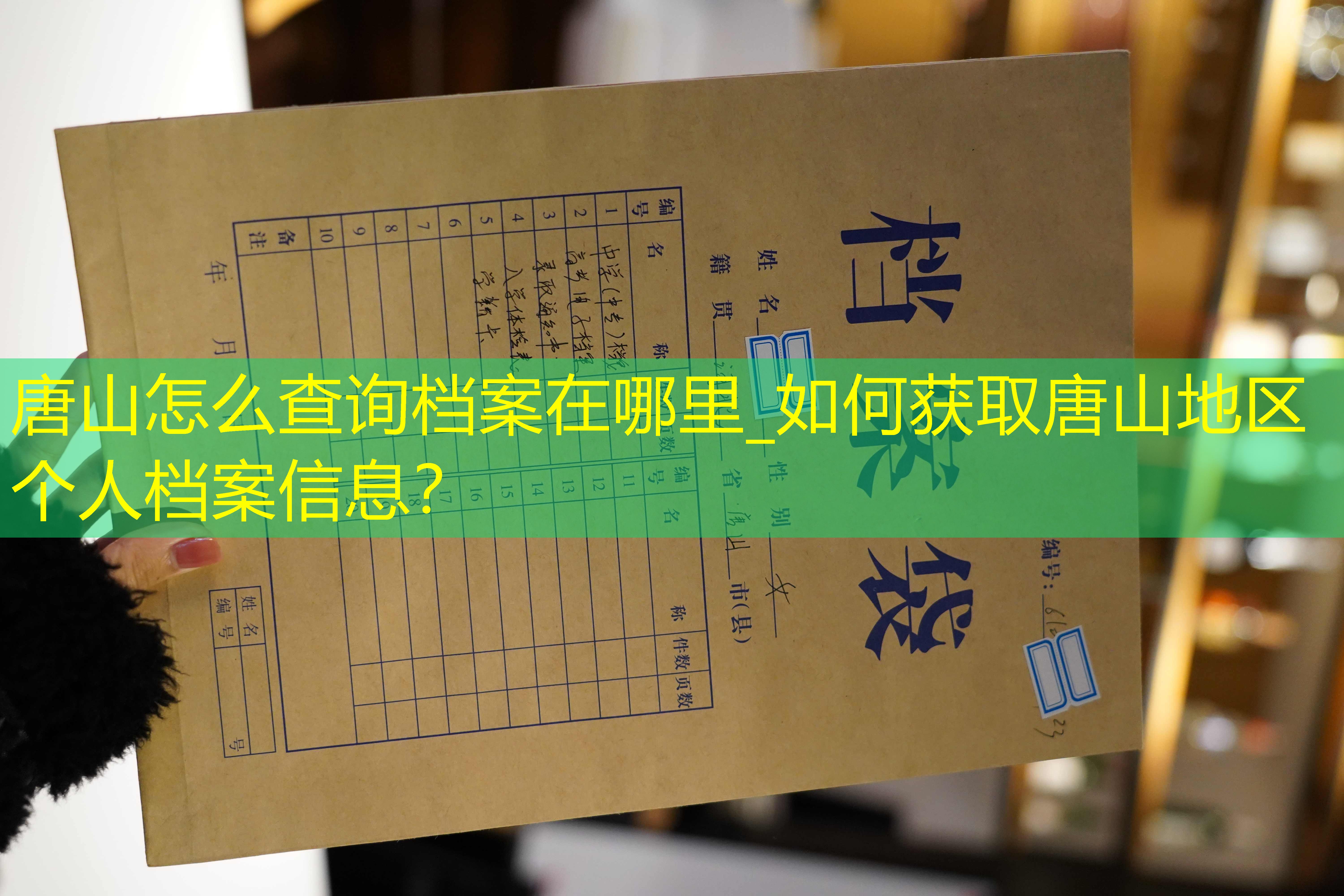 档案查询