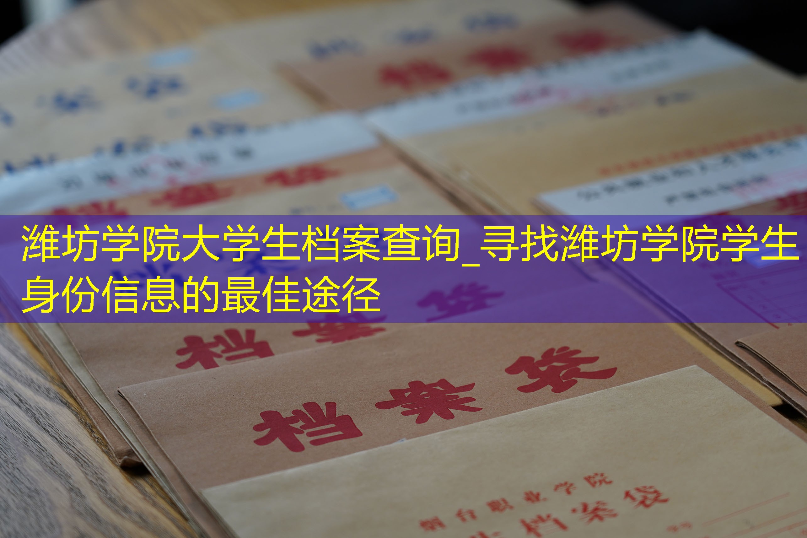 档案查询