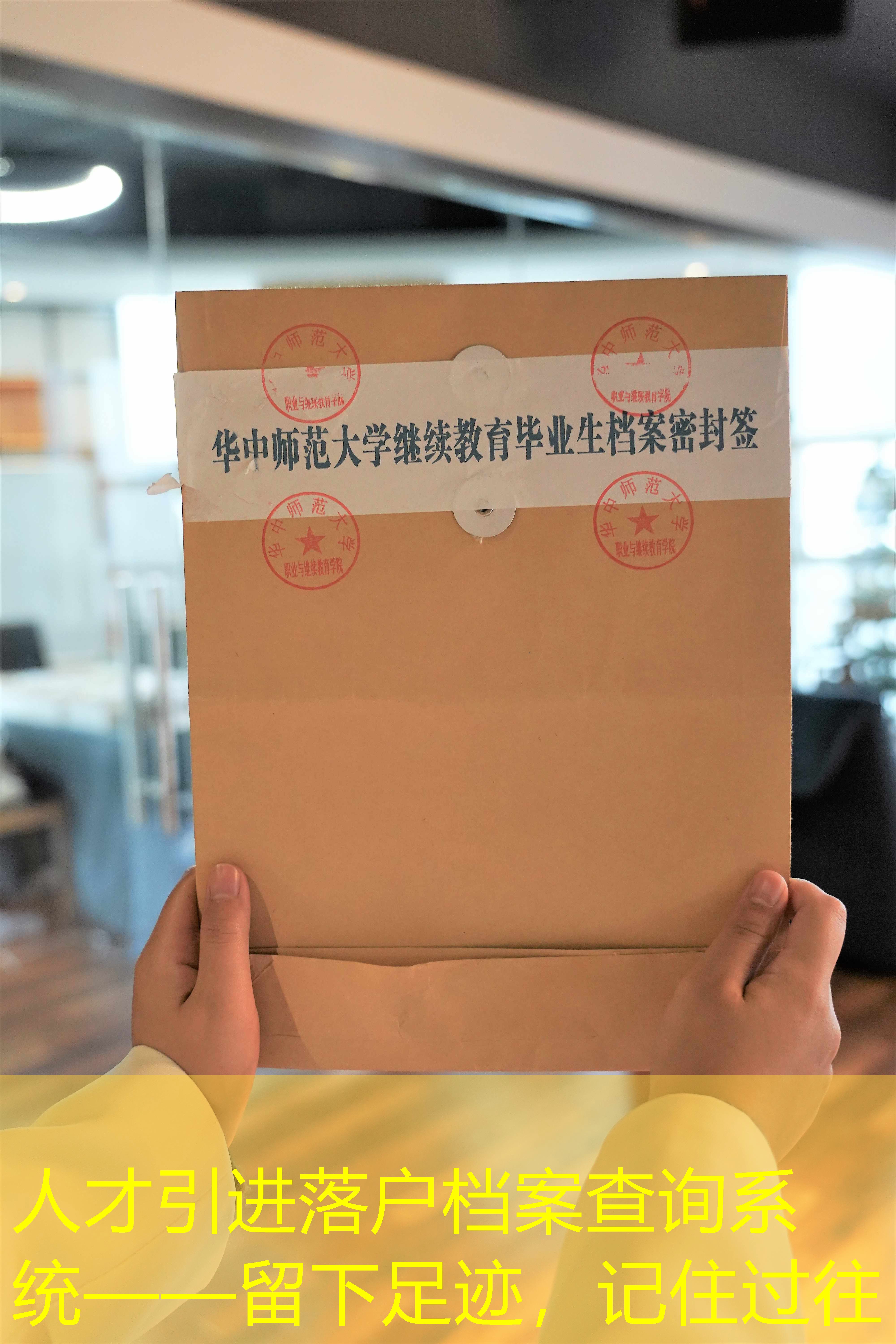 档案查询