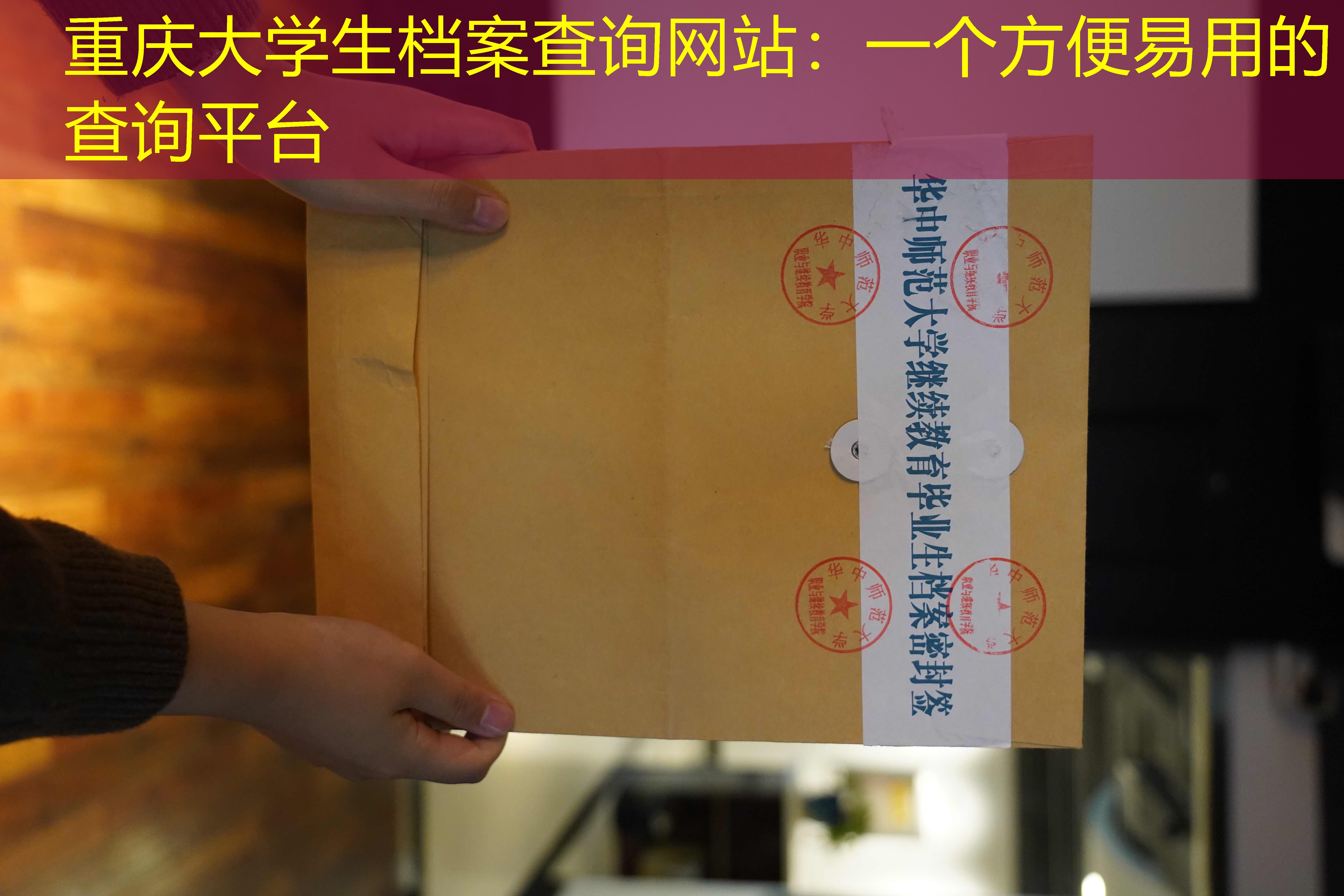 档案查询