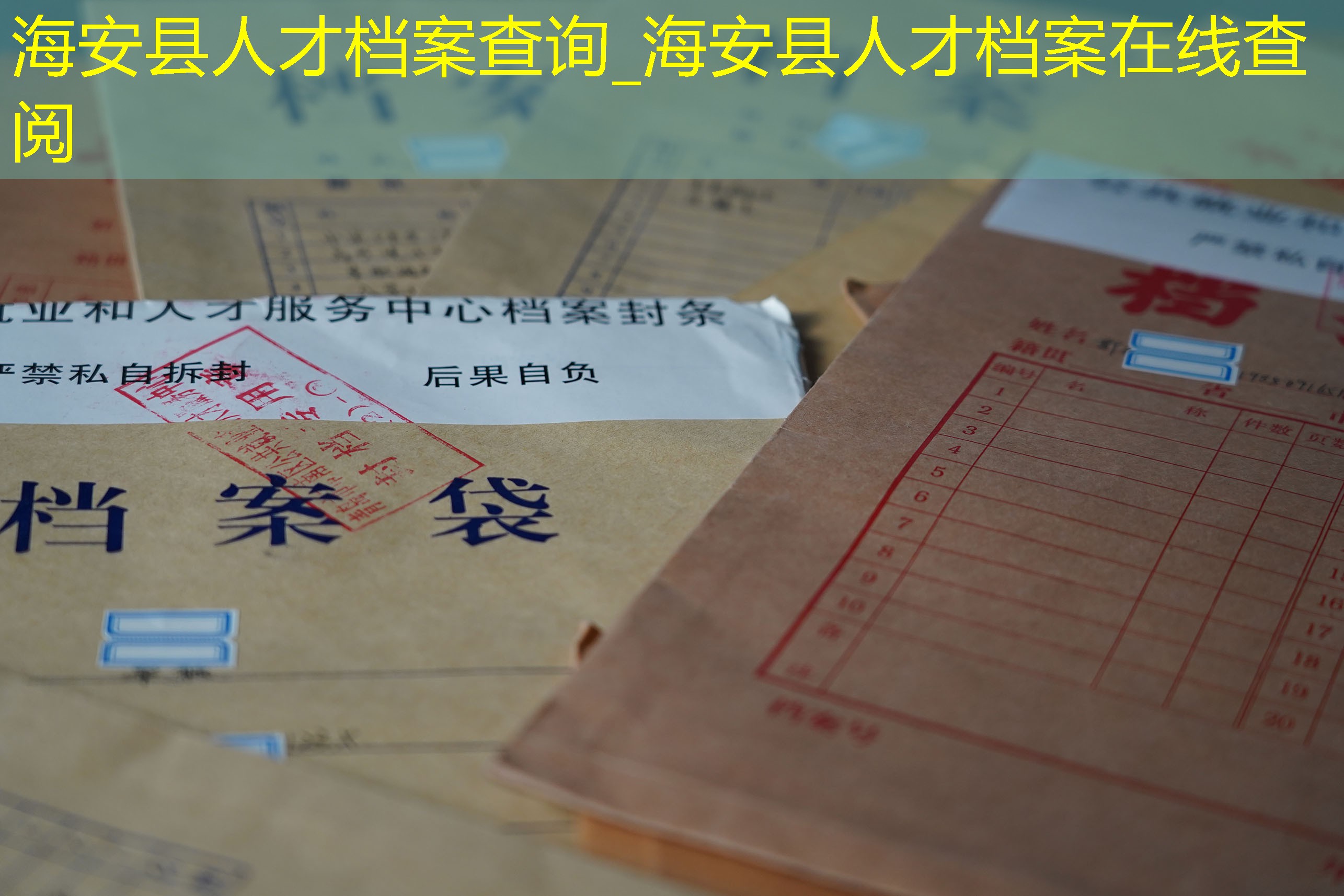 档案查询