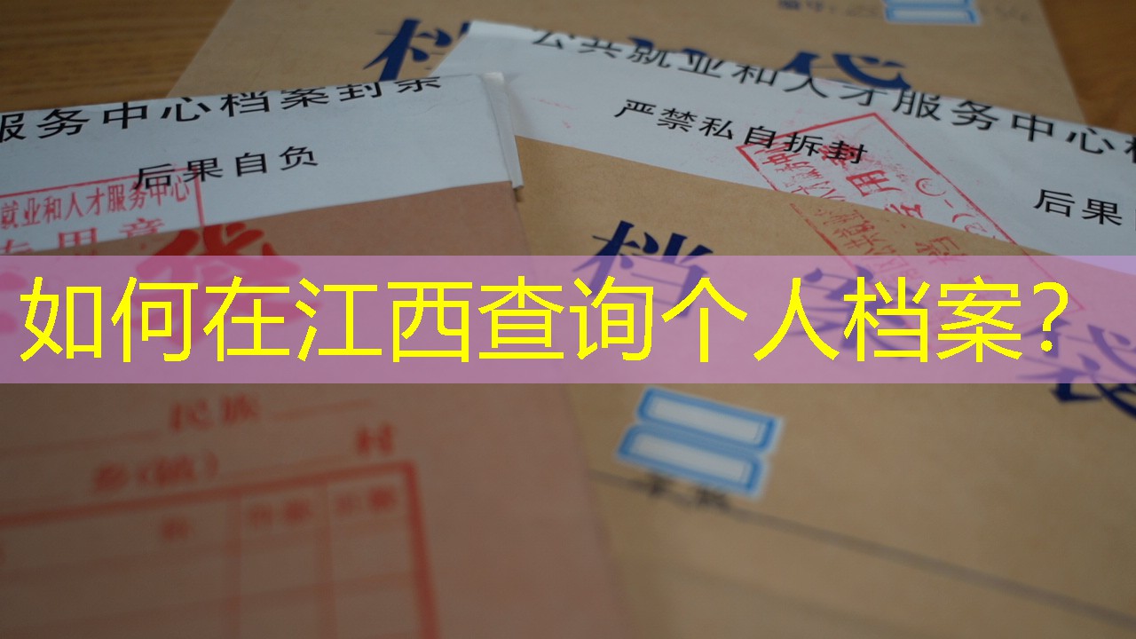 档案查询