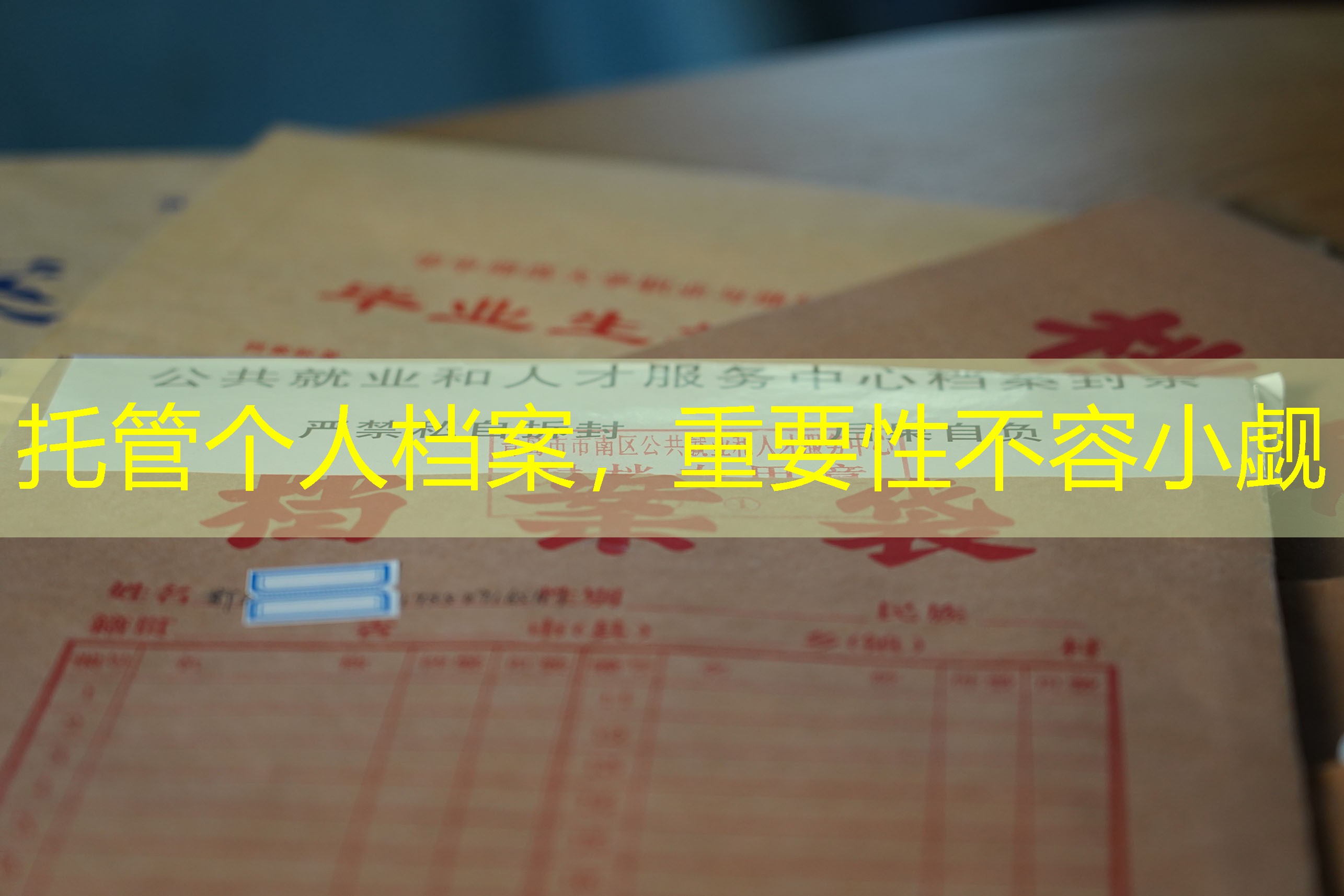 档案查询