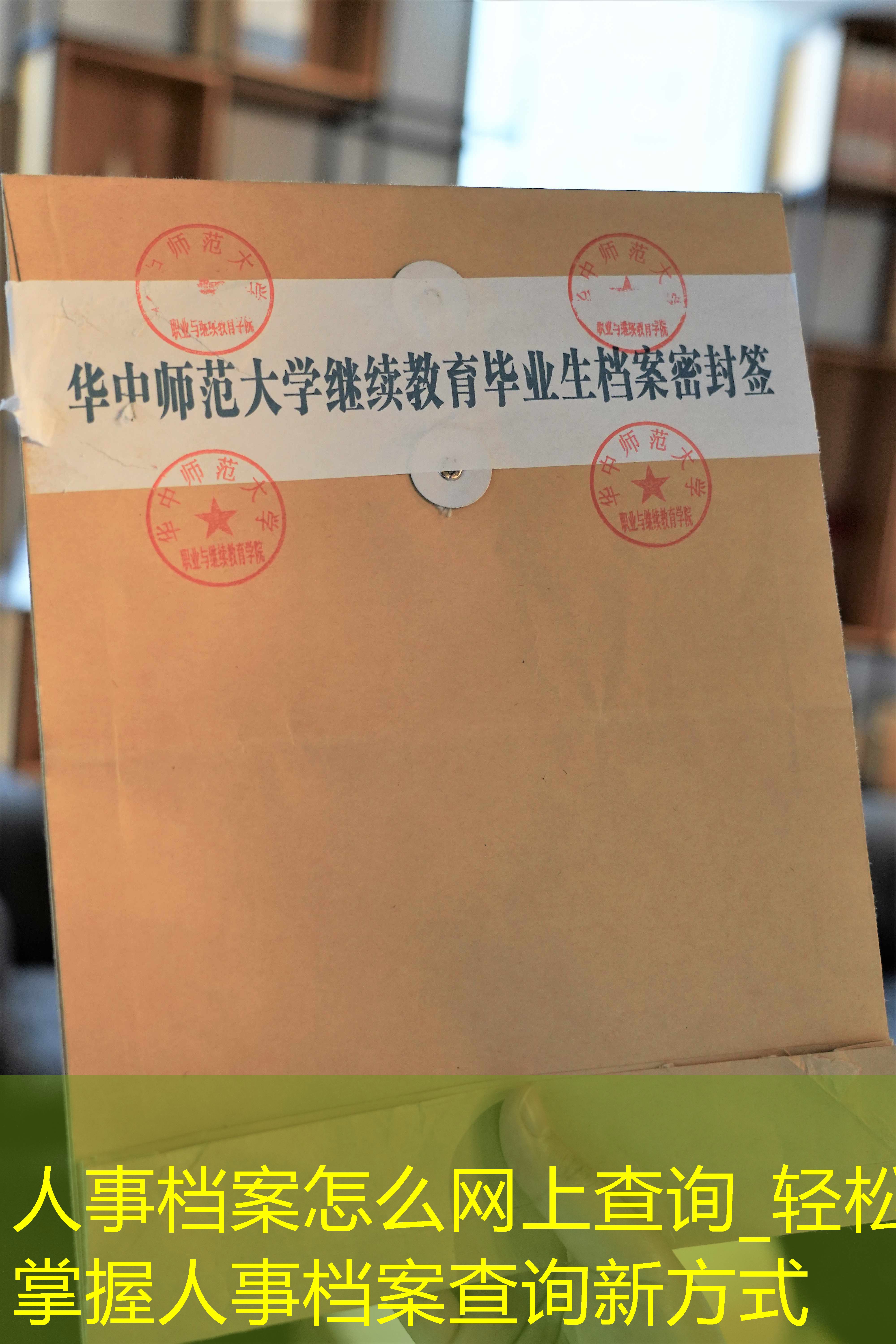 档案查询