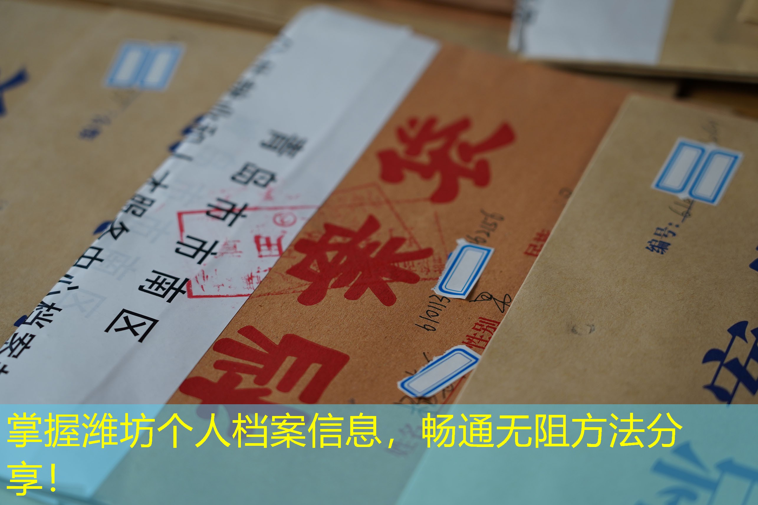 档案查询