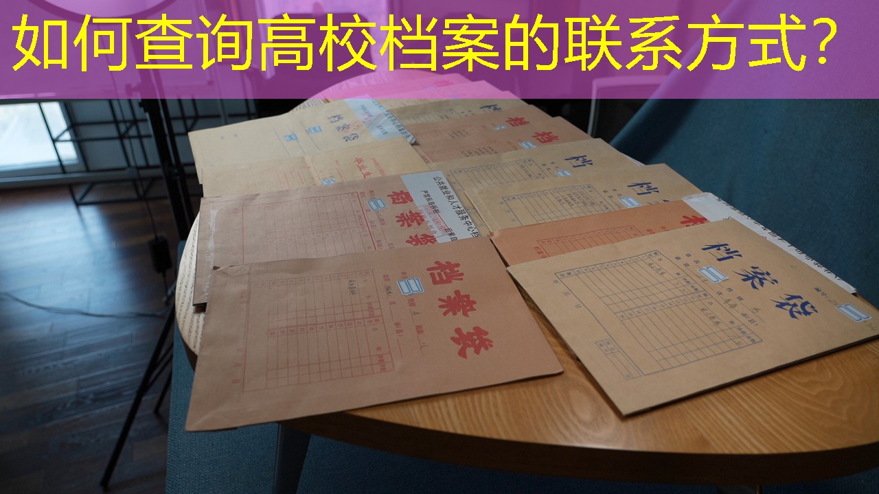档案查询
