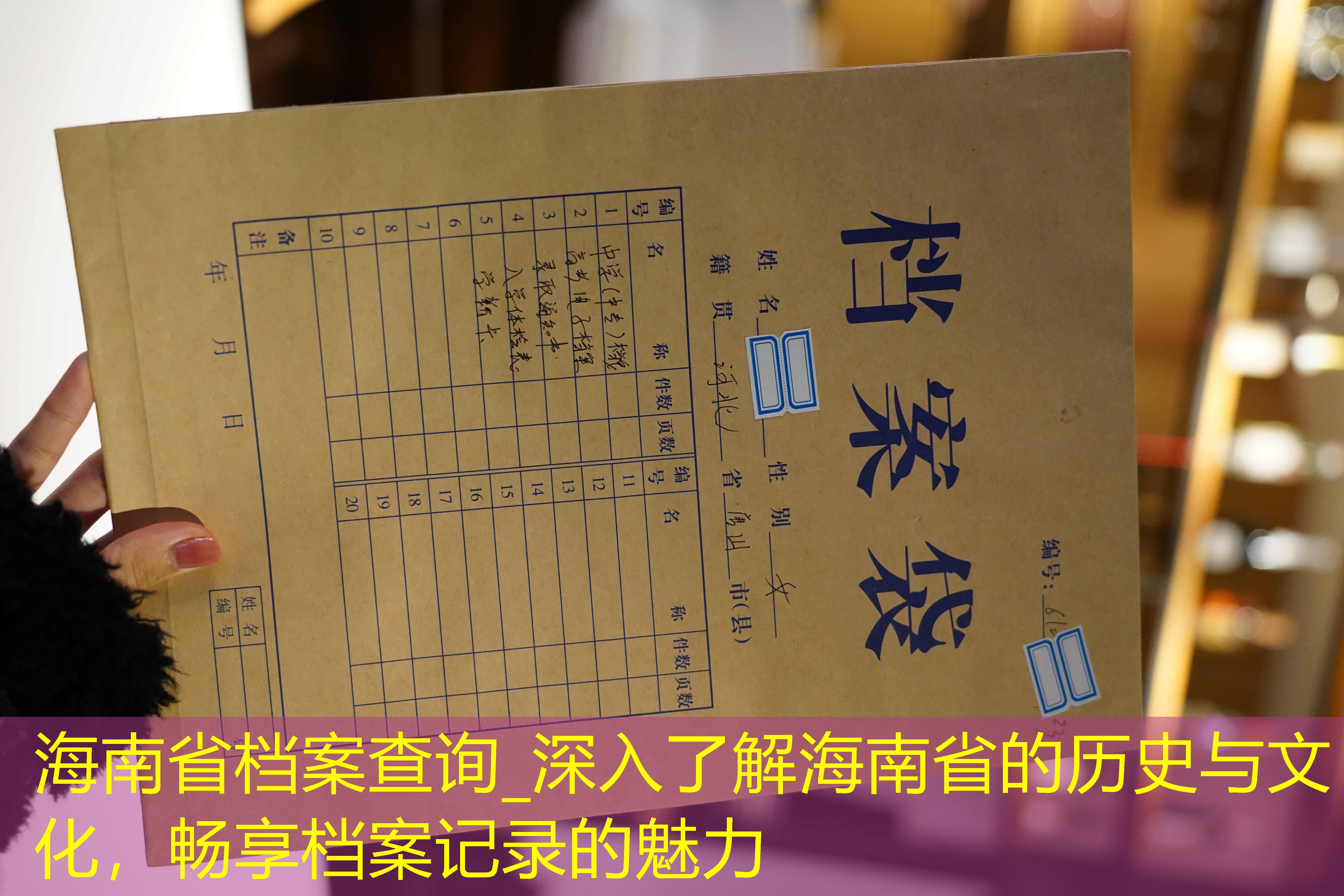 档案查询