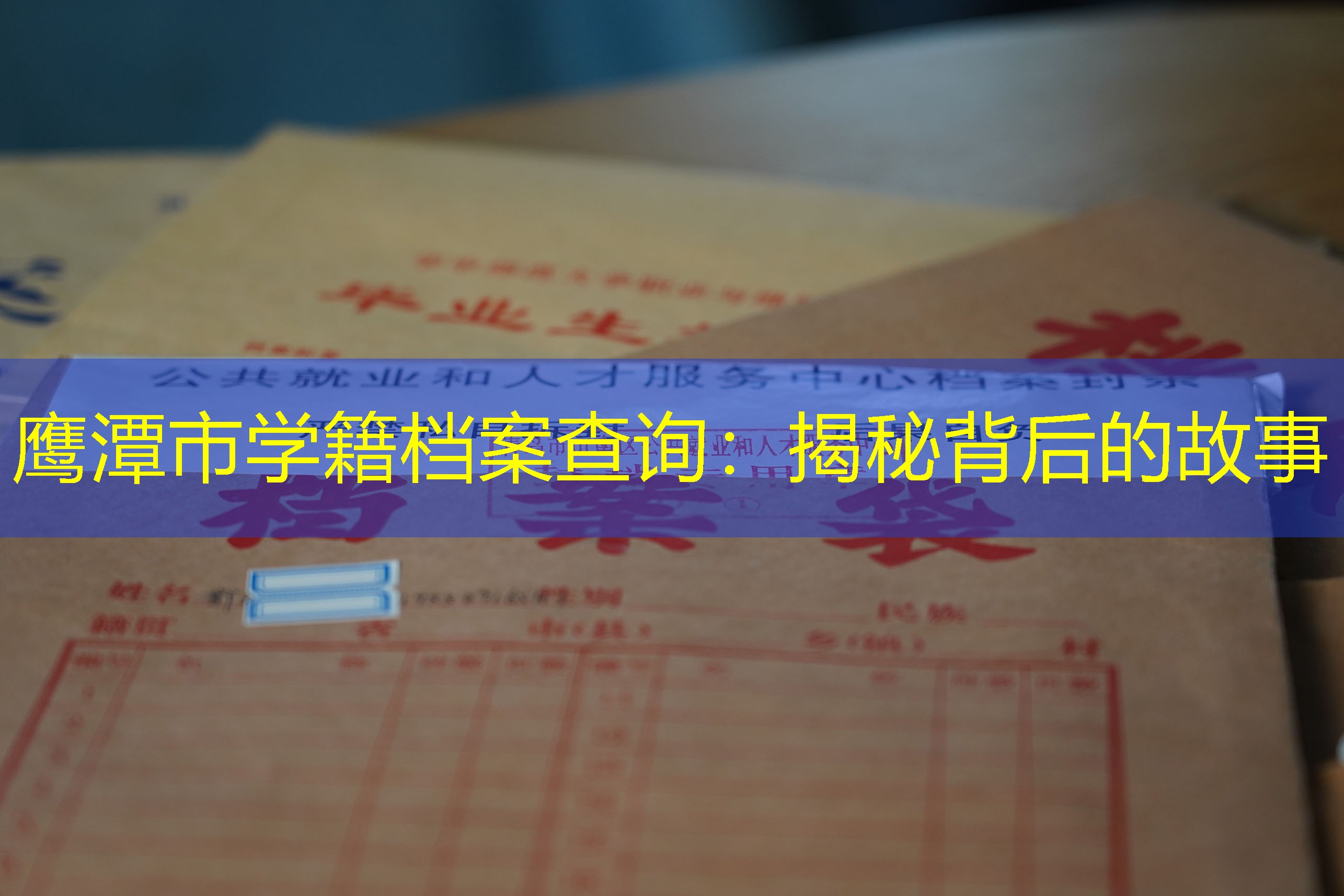 档案查询