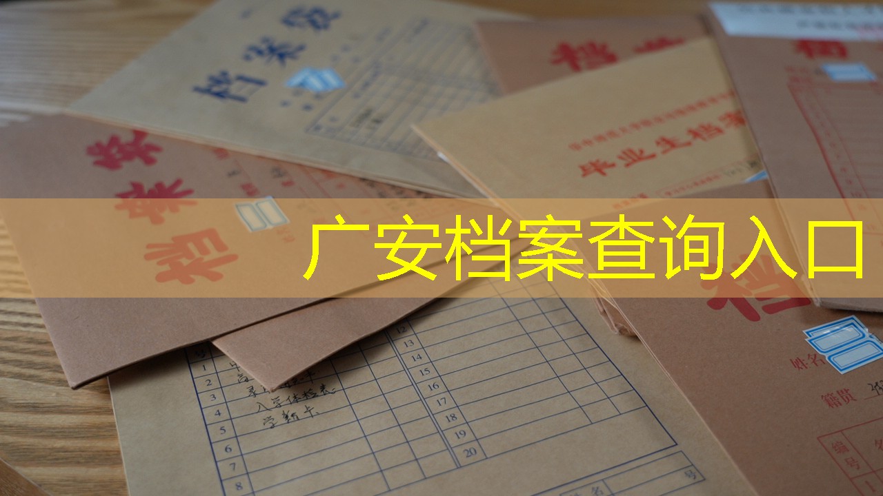 档案查询