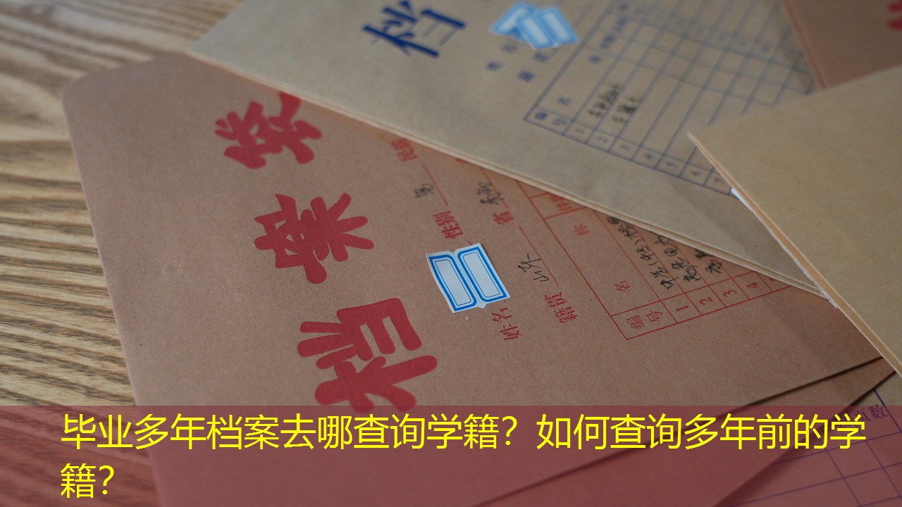档案查询