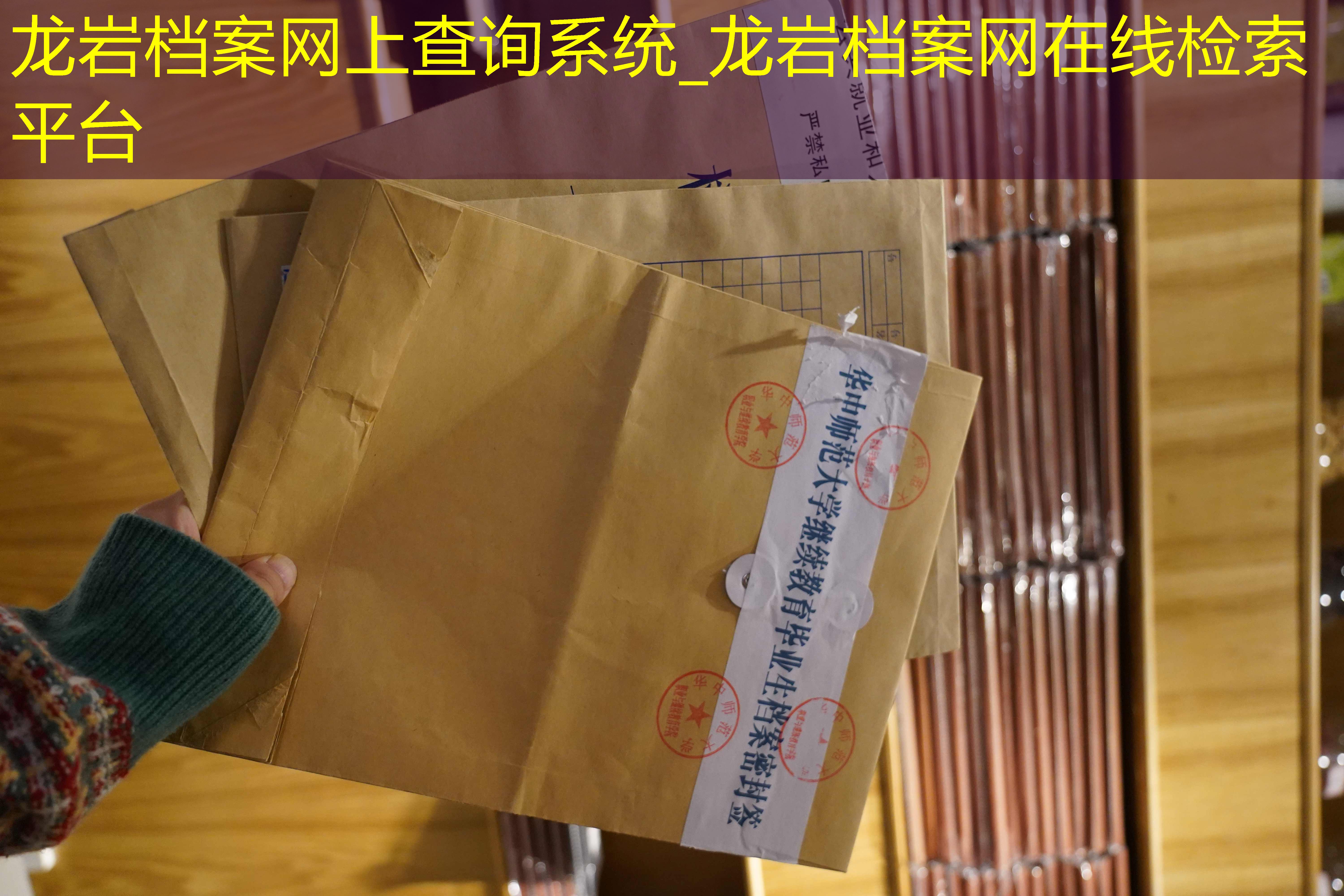 档案查询