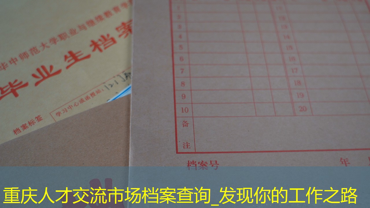 档案查询