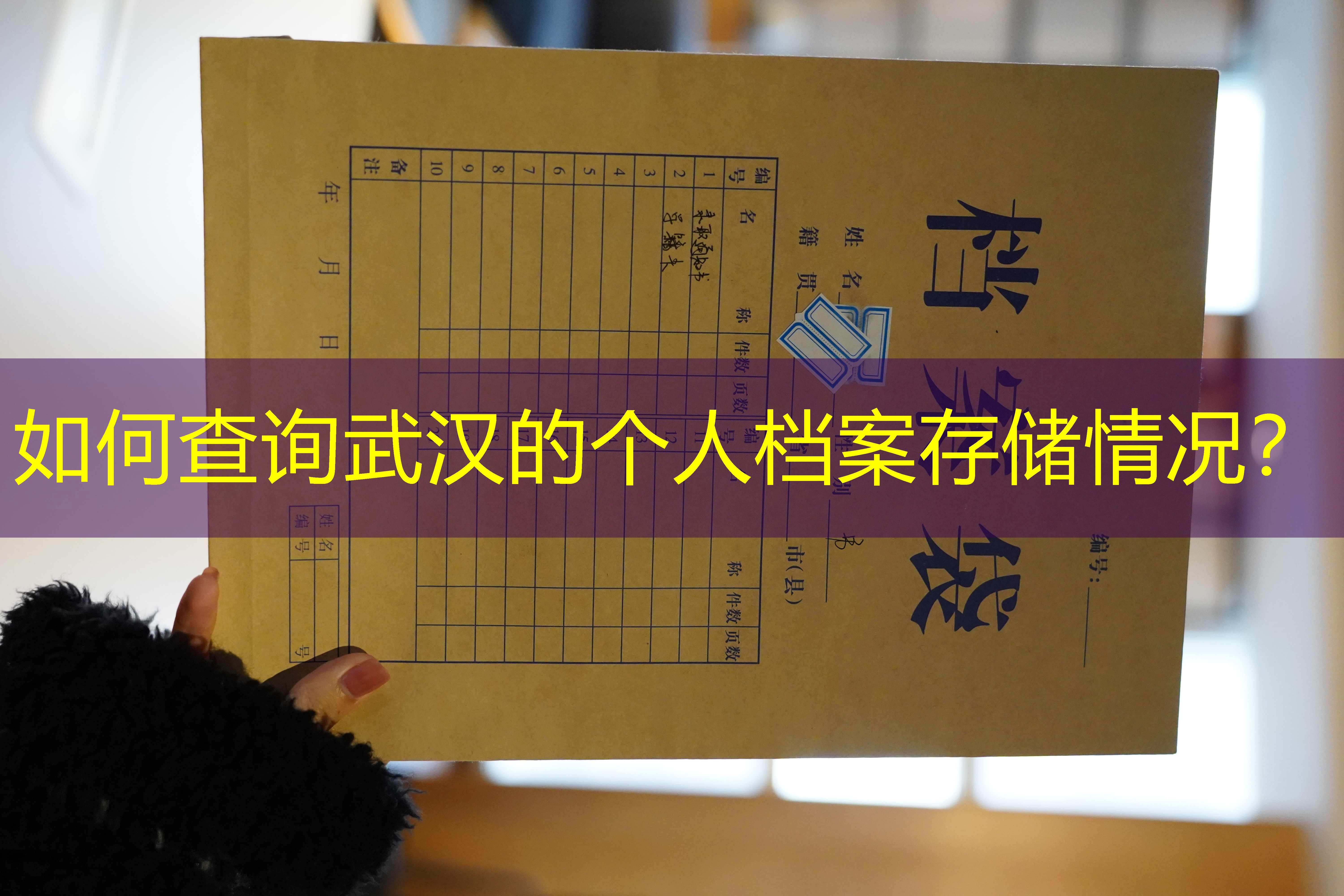档案查询