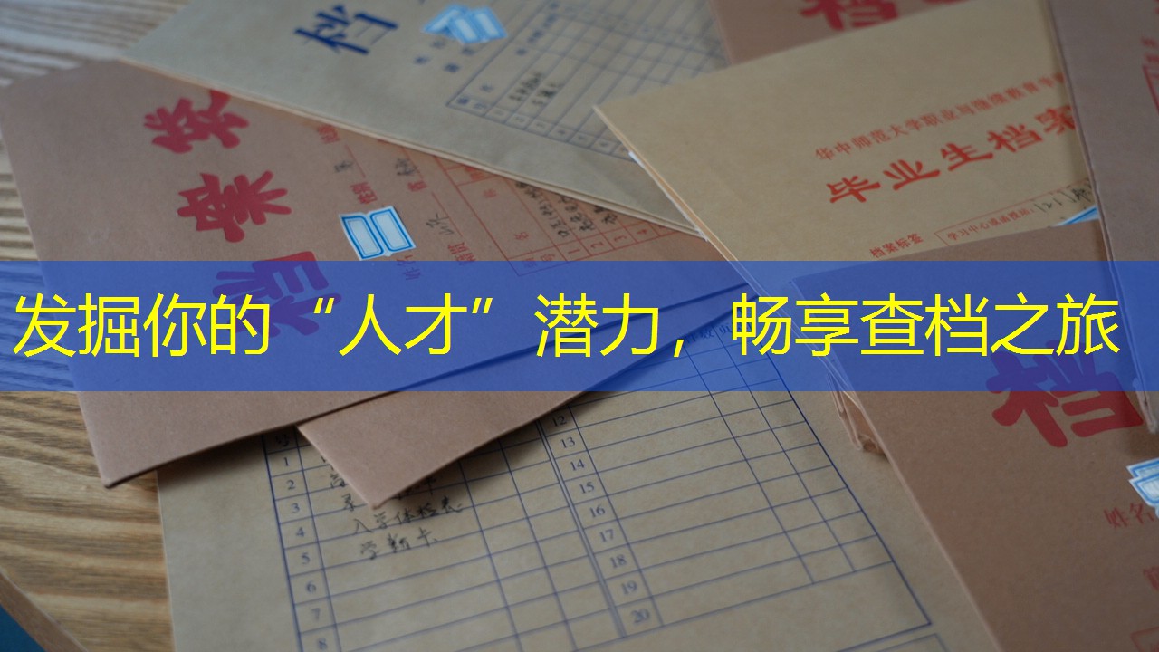档案查询