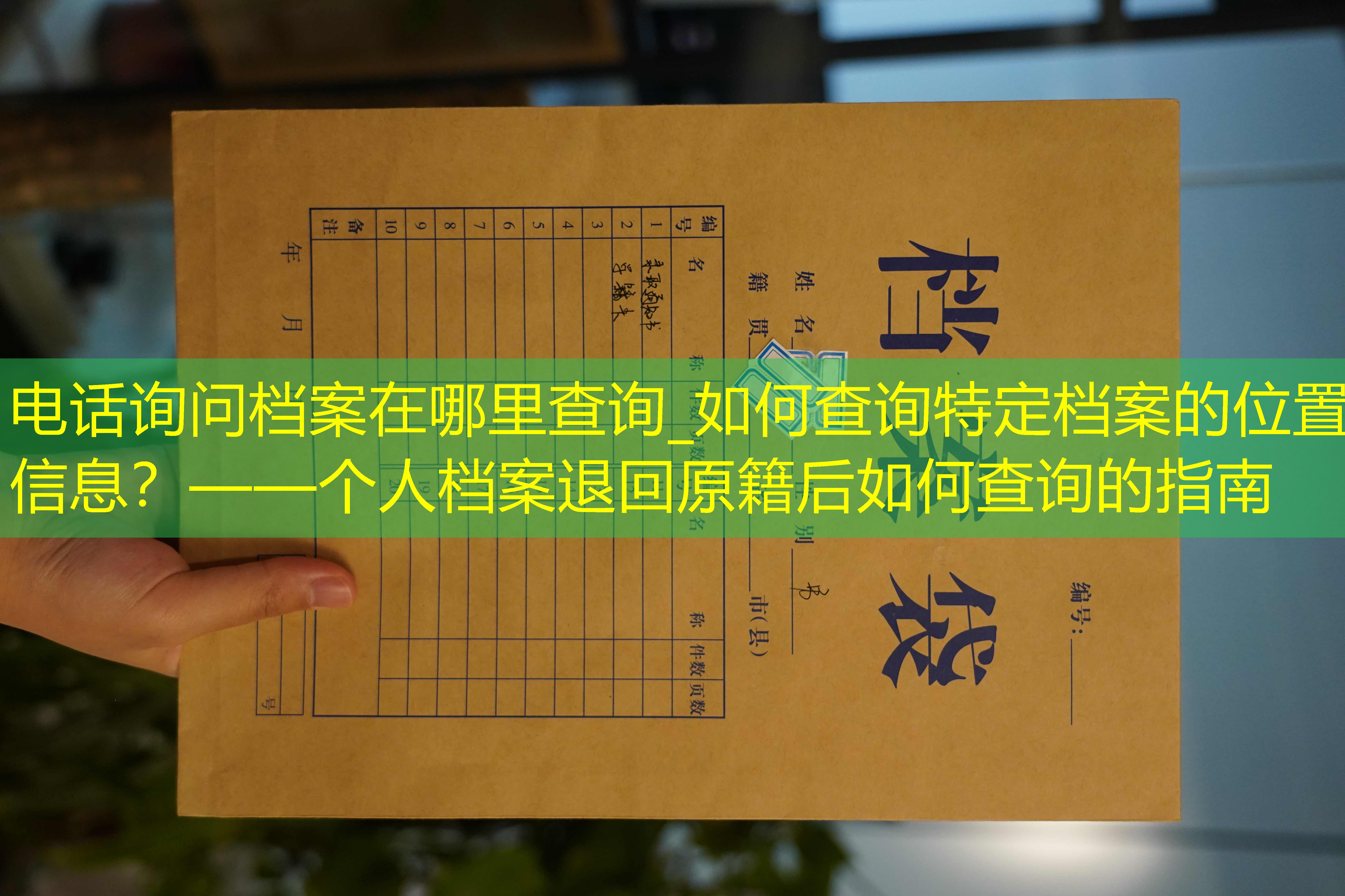 档案查询