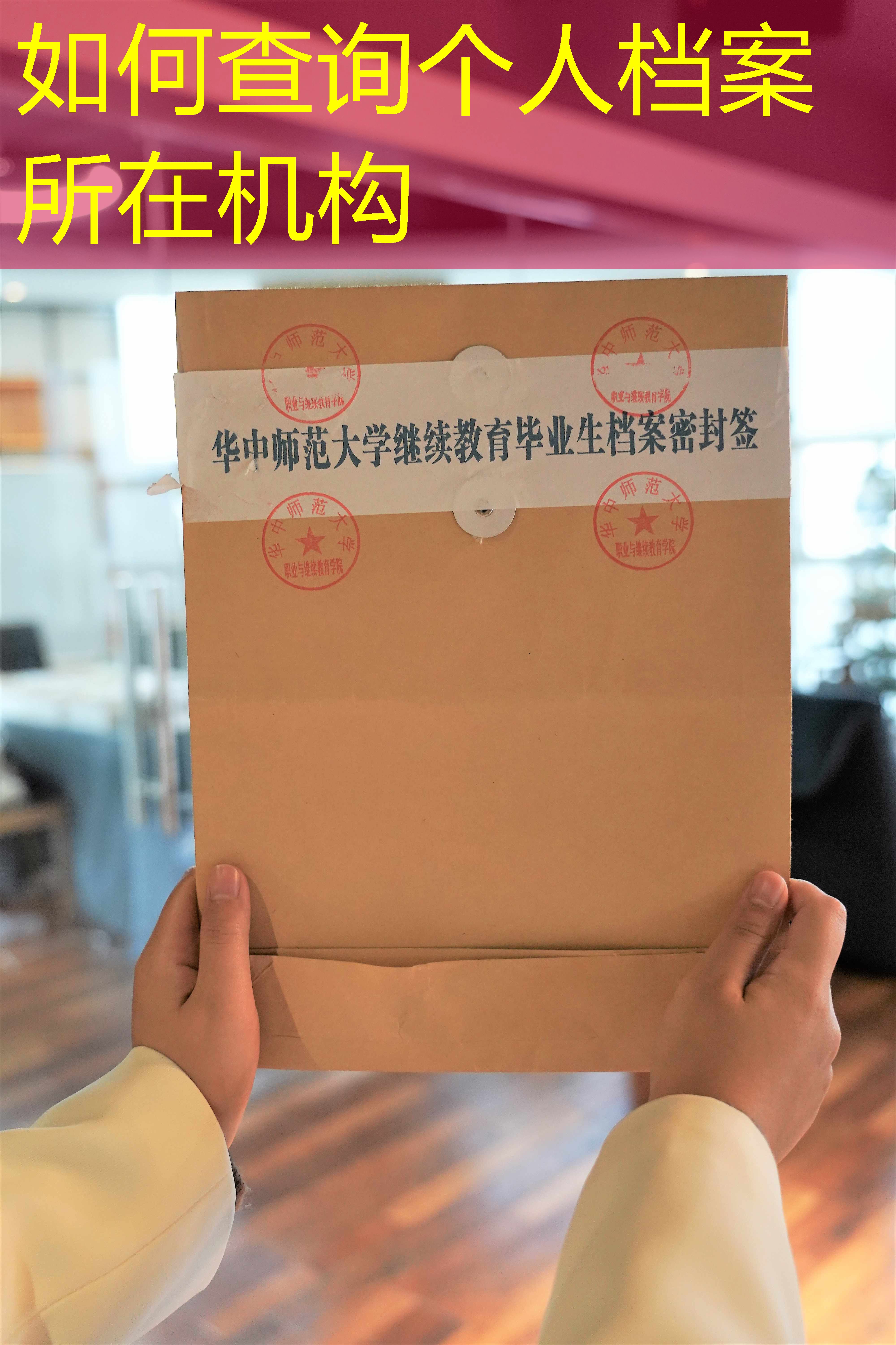 档案查询
