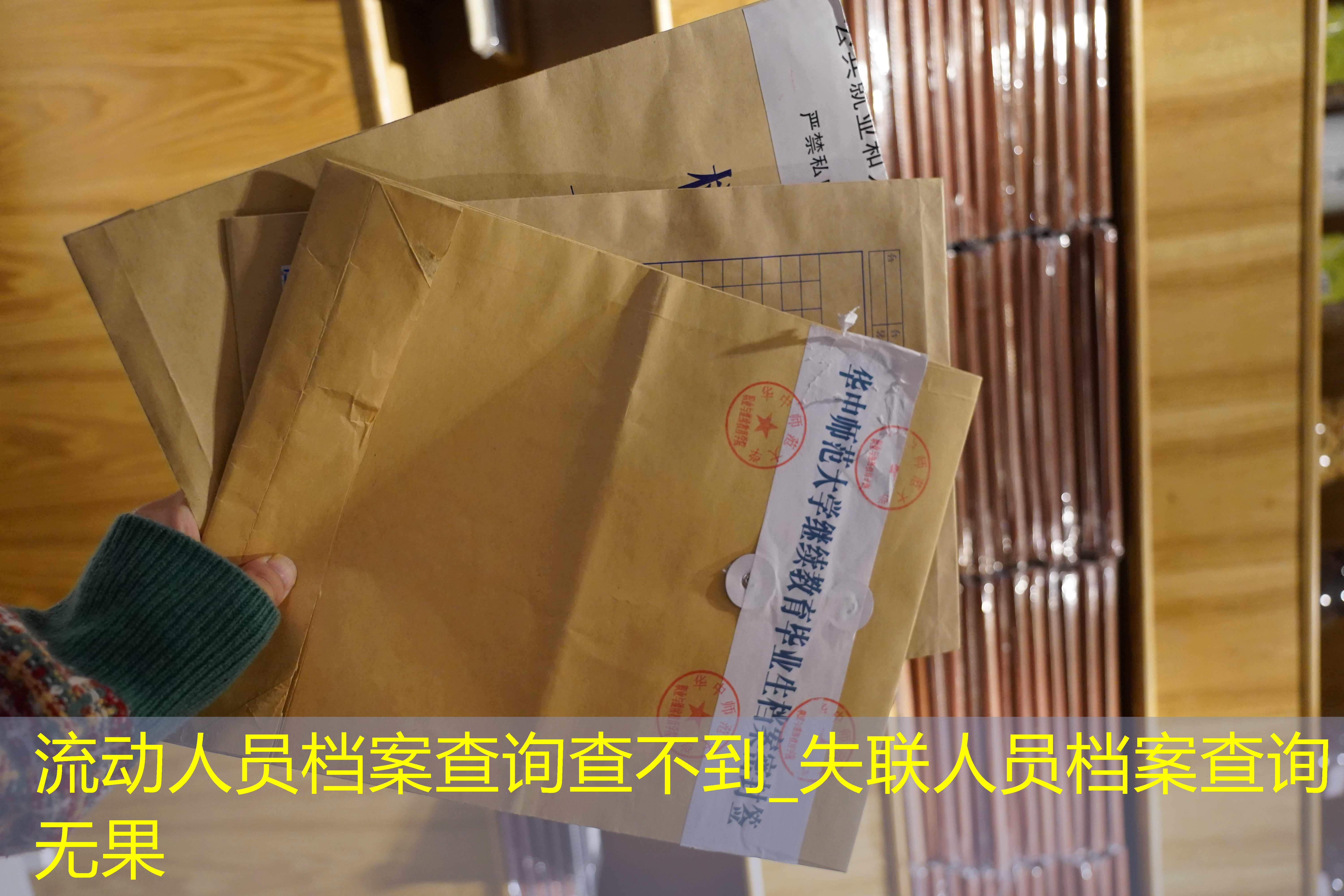 档案查询