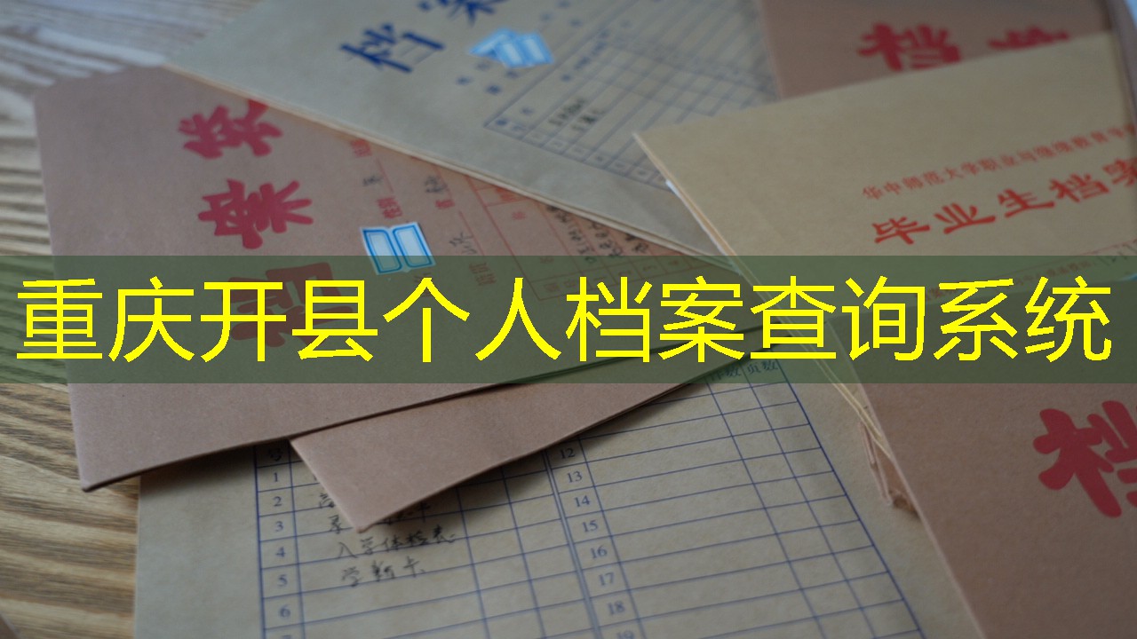 档案查询