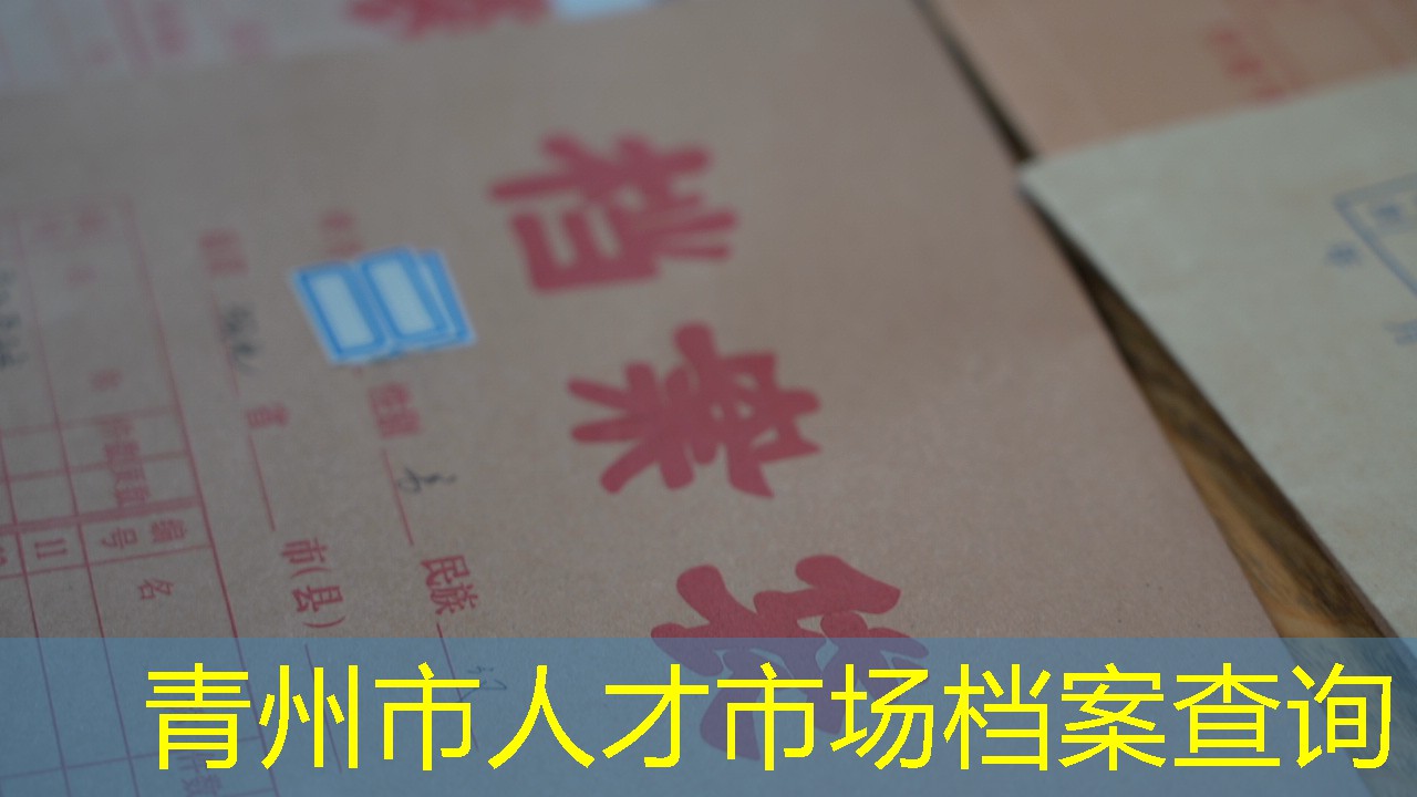 档案查询