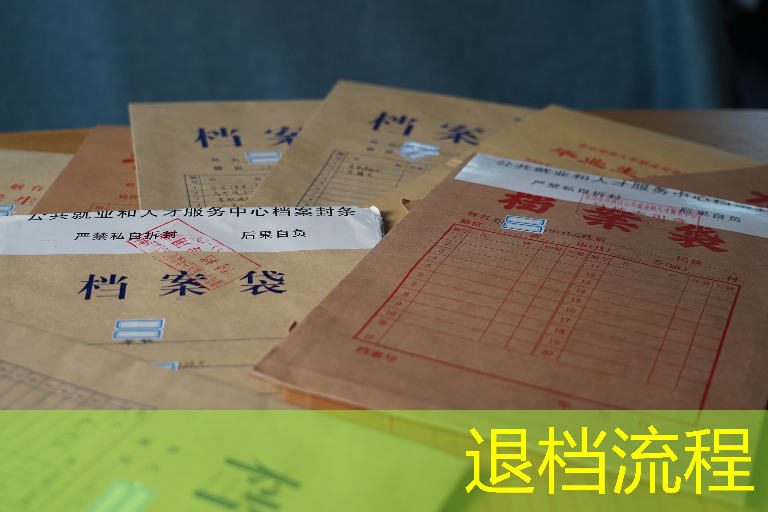 档案查询
