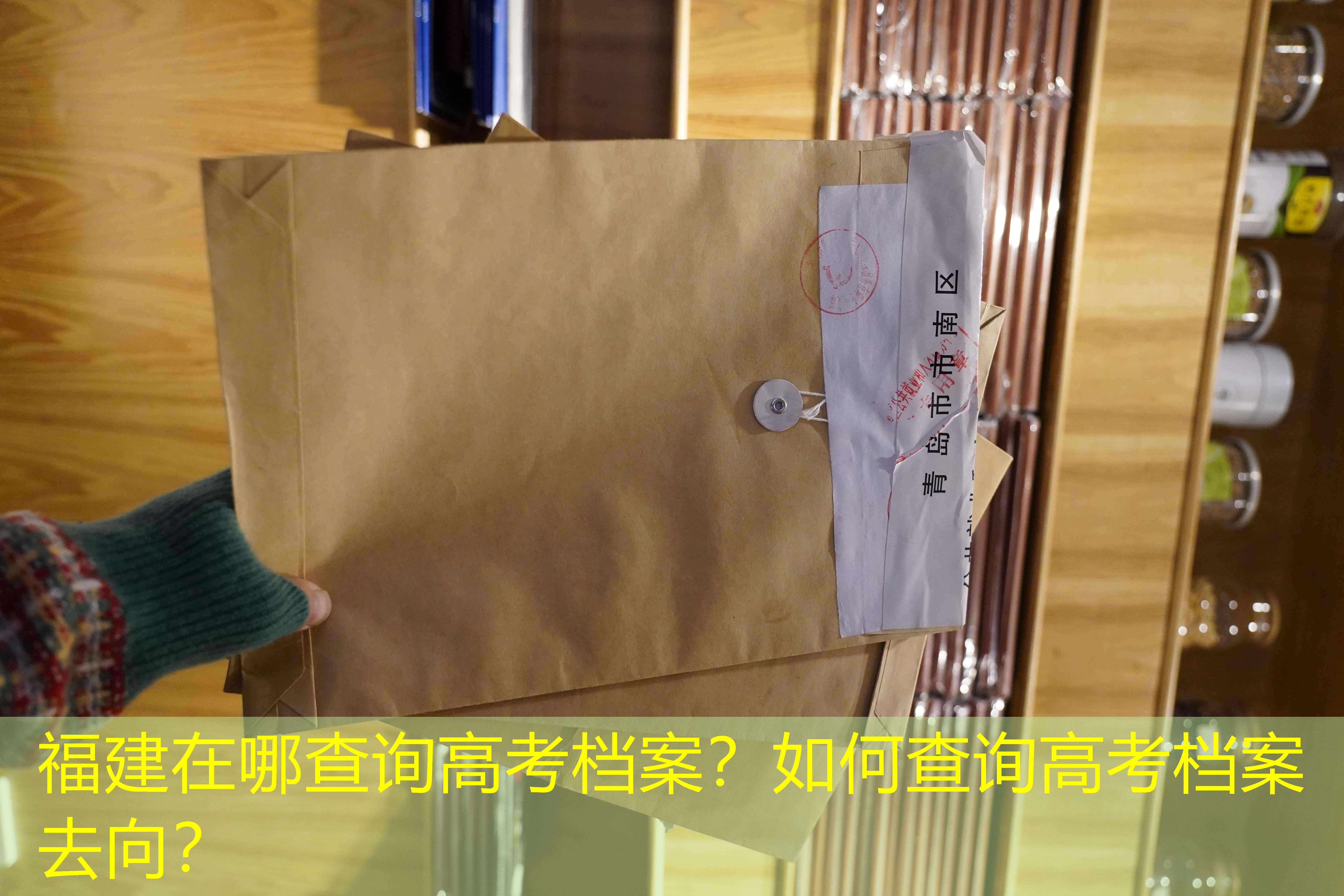 档案查询