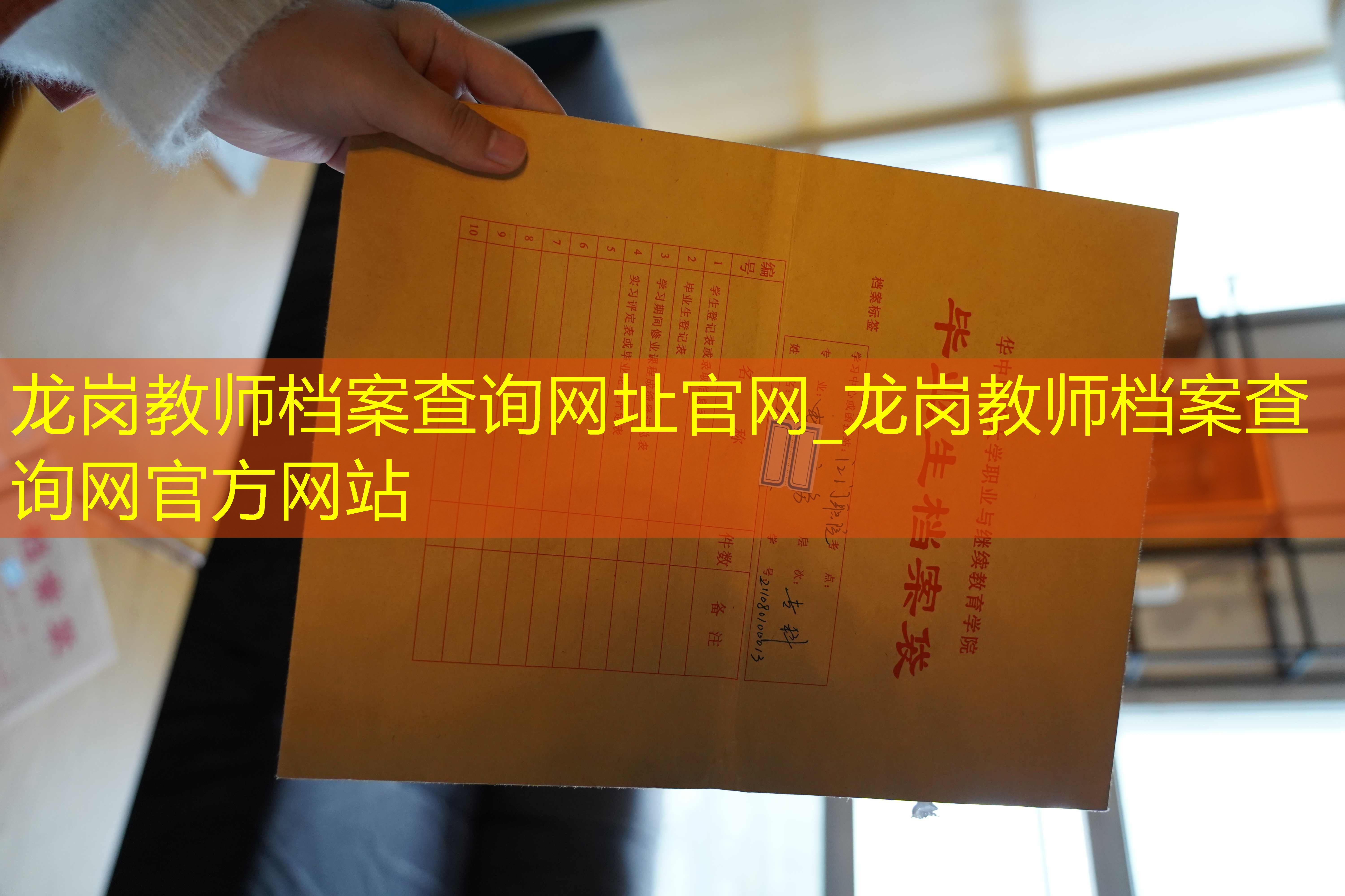 档案查询