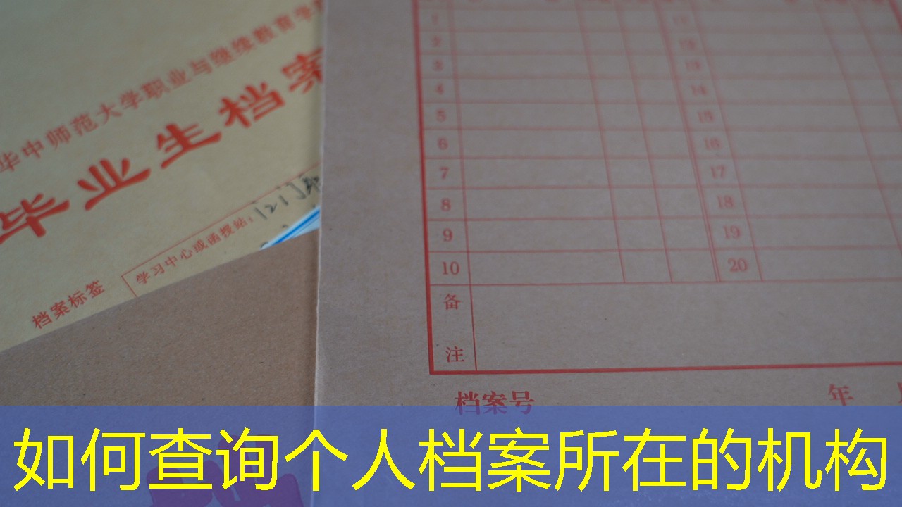 档案查询