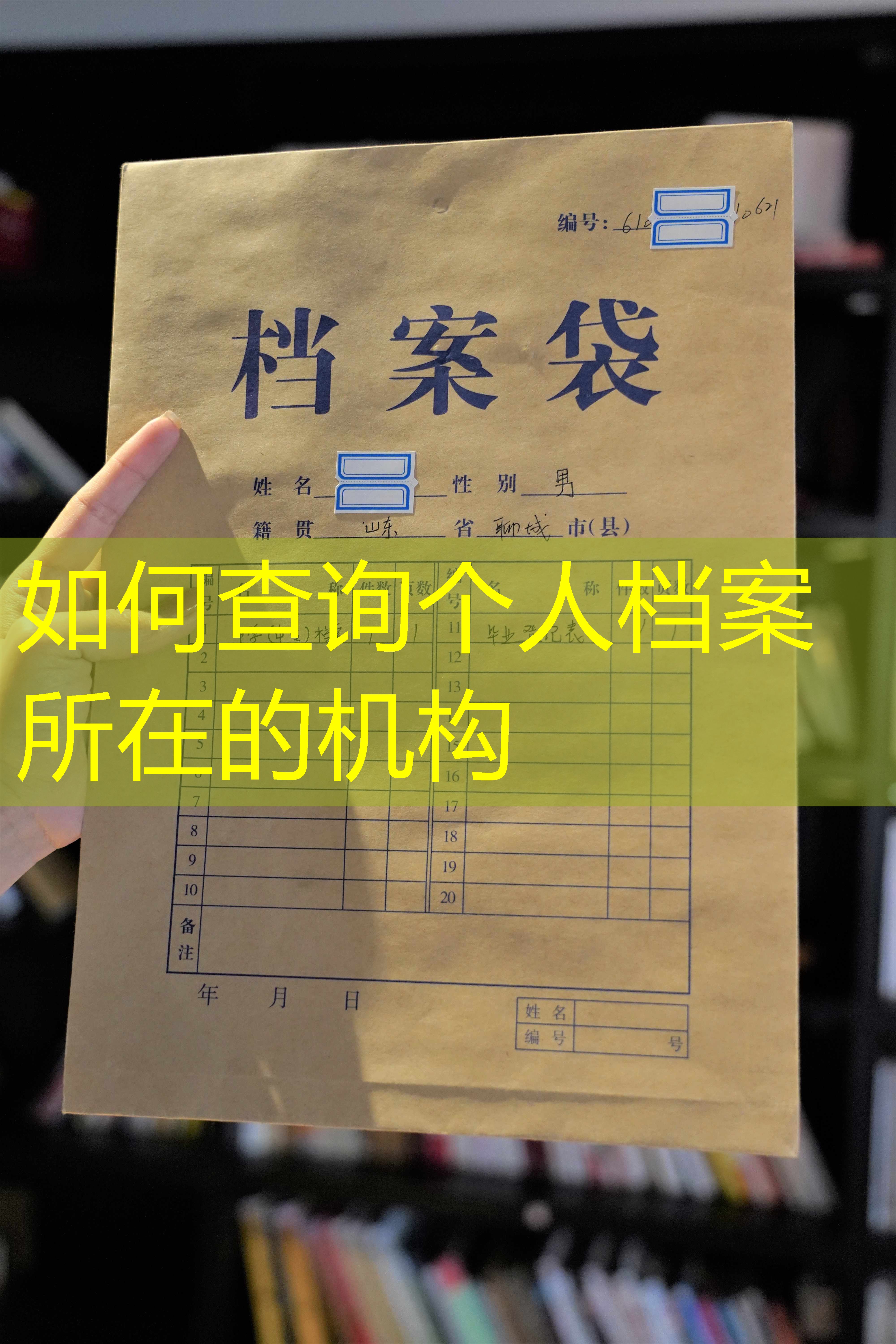 档案查询