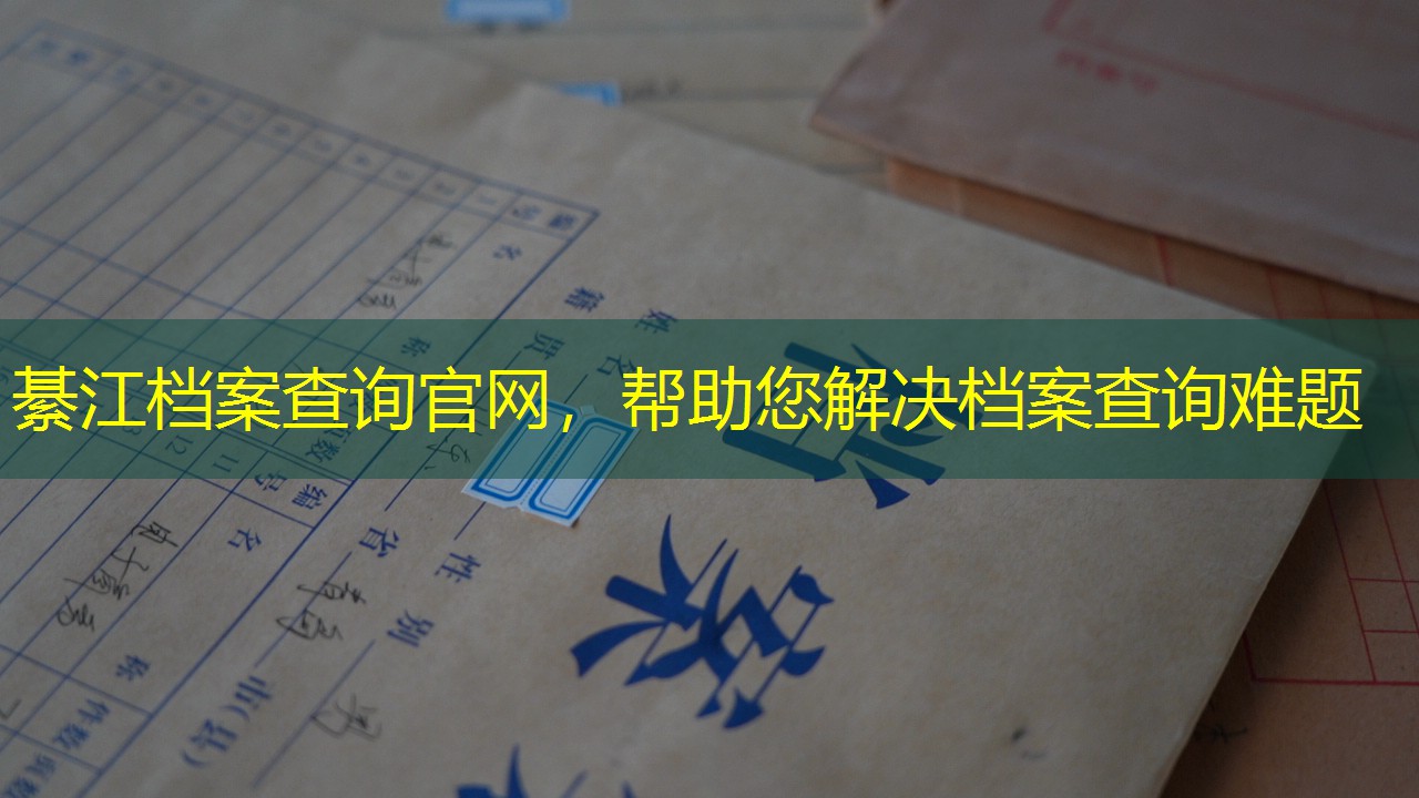 档案查询