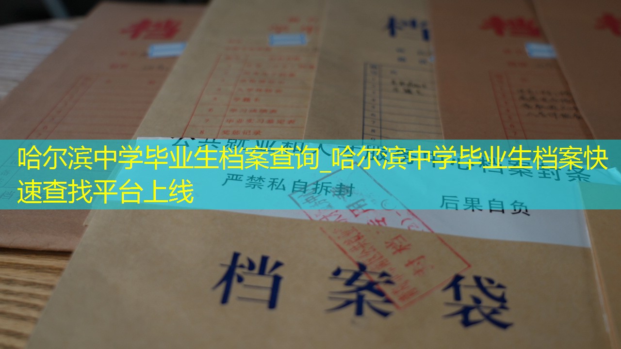 档案查询