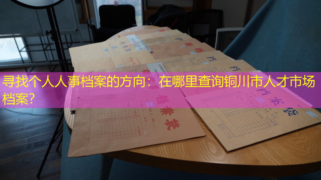 档案查询